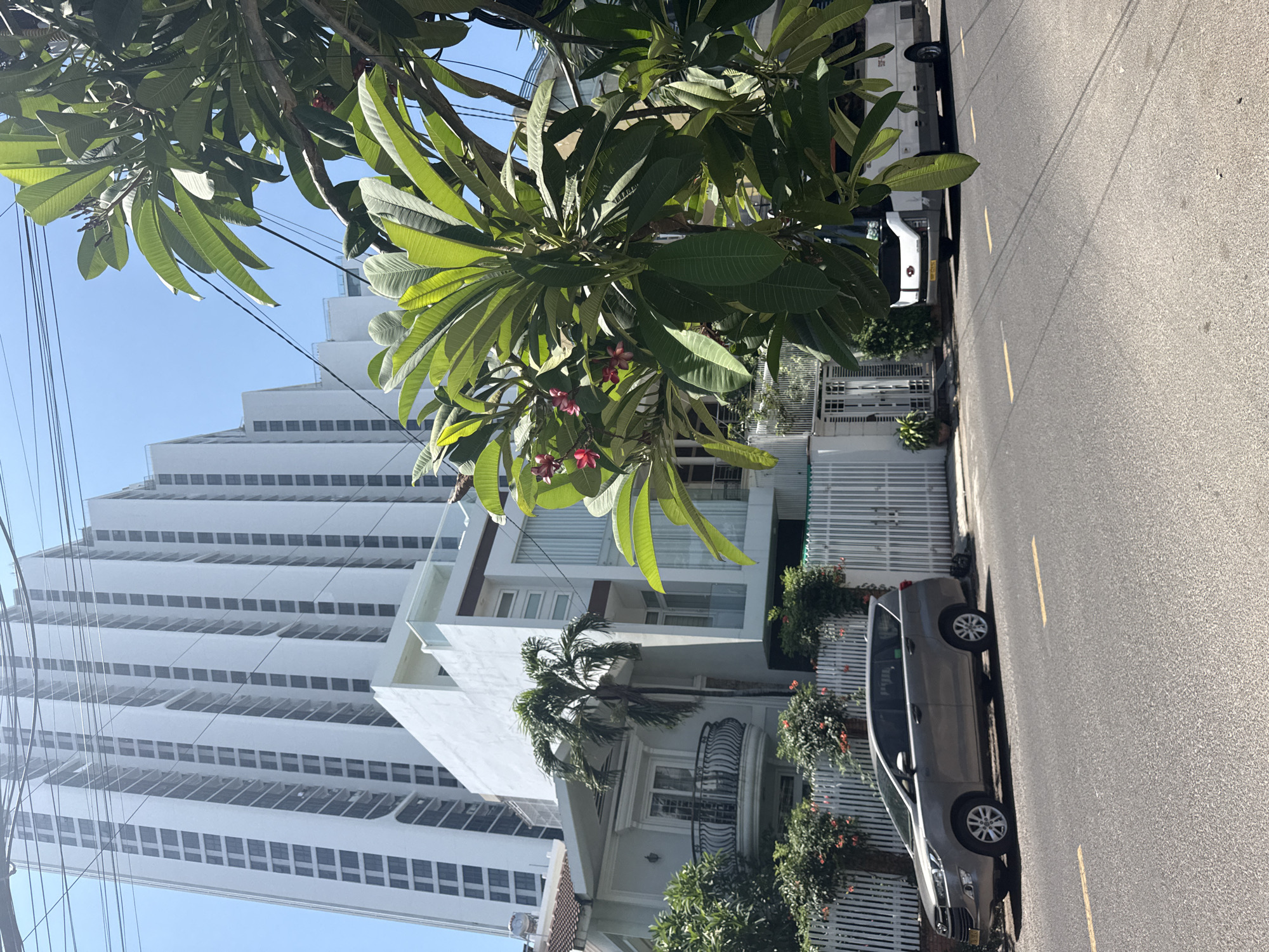 Morning around Nha Trang: streets, gym, coastline, and flowers