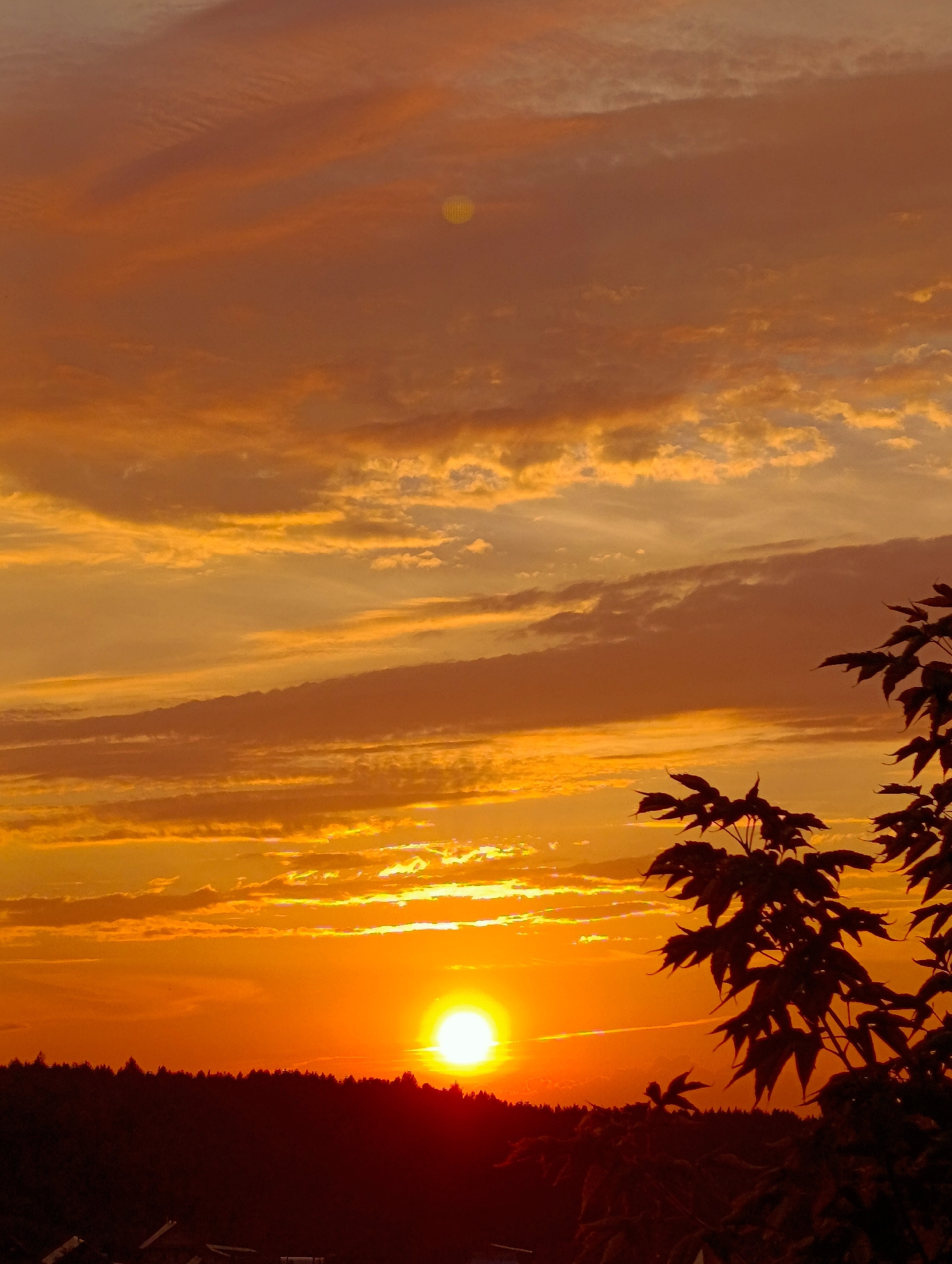 Vivid August sunset over the rural outskirts of Foki, Russia