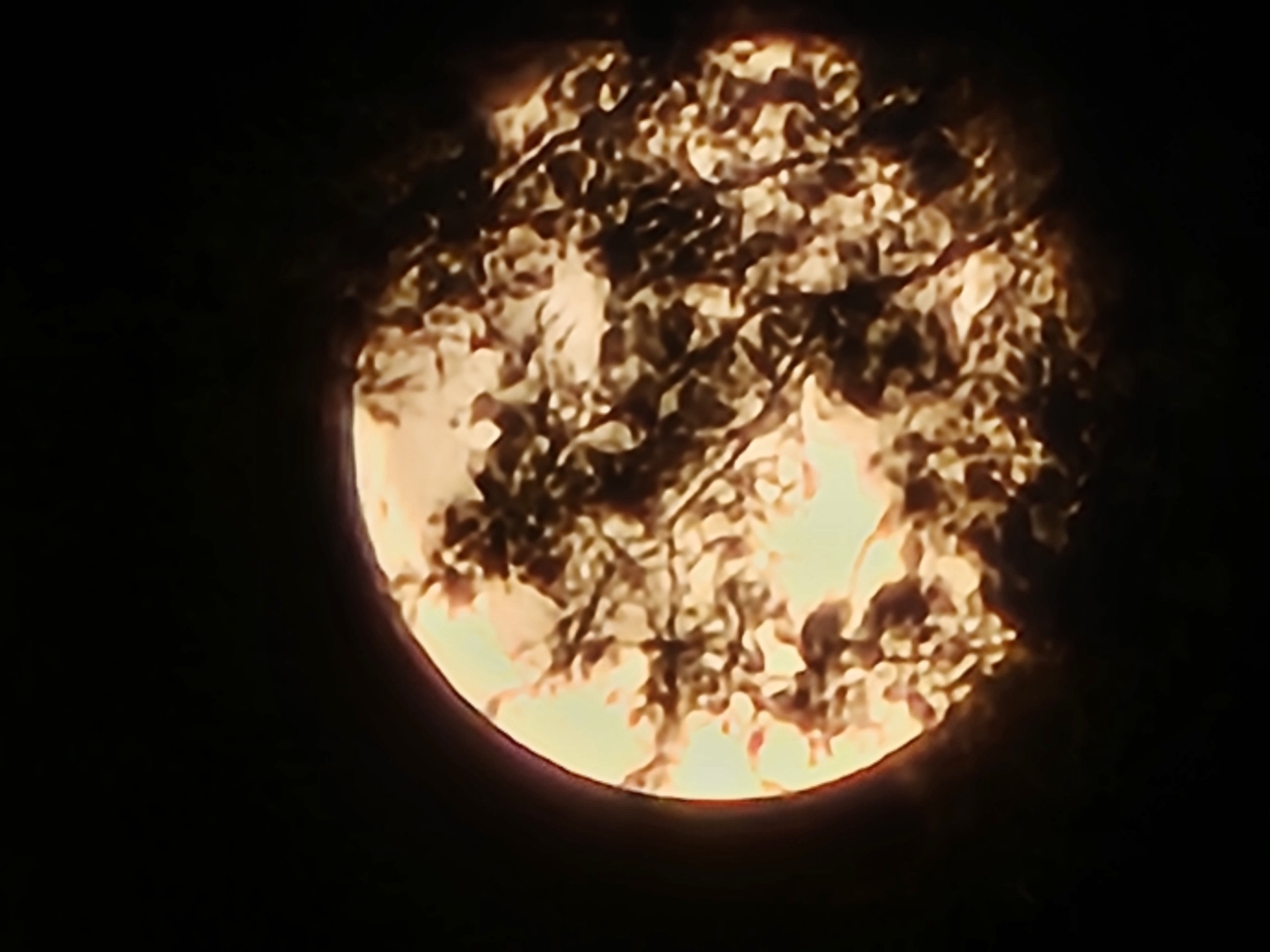 Full moon observed over Denpasar coast during evening hours