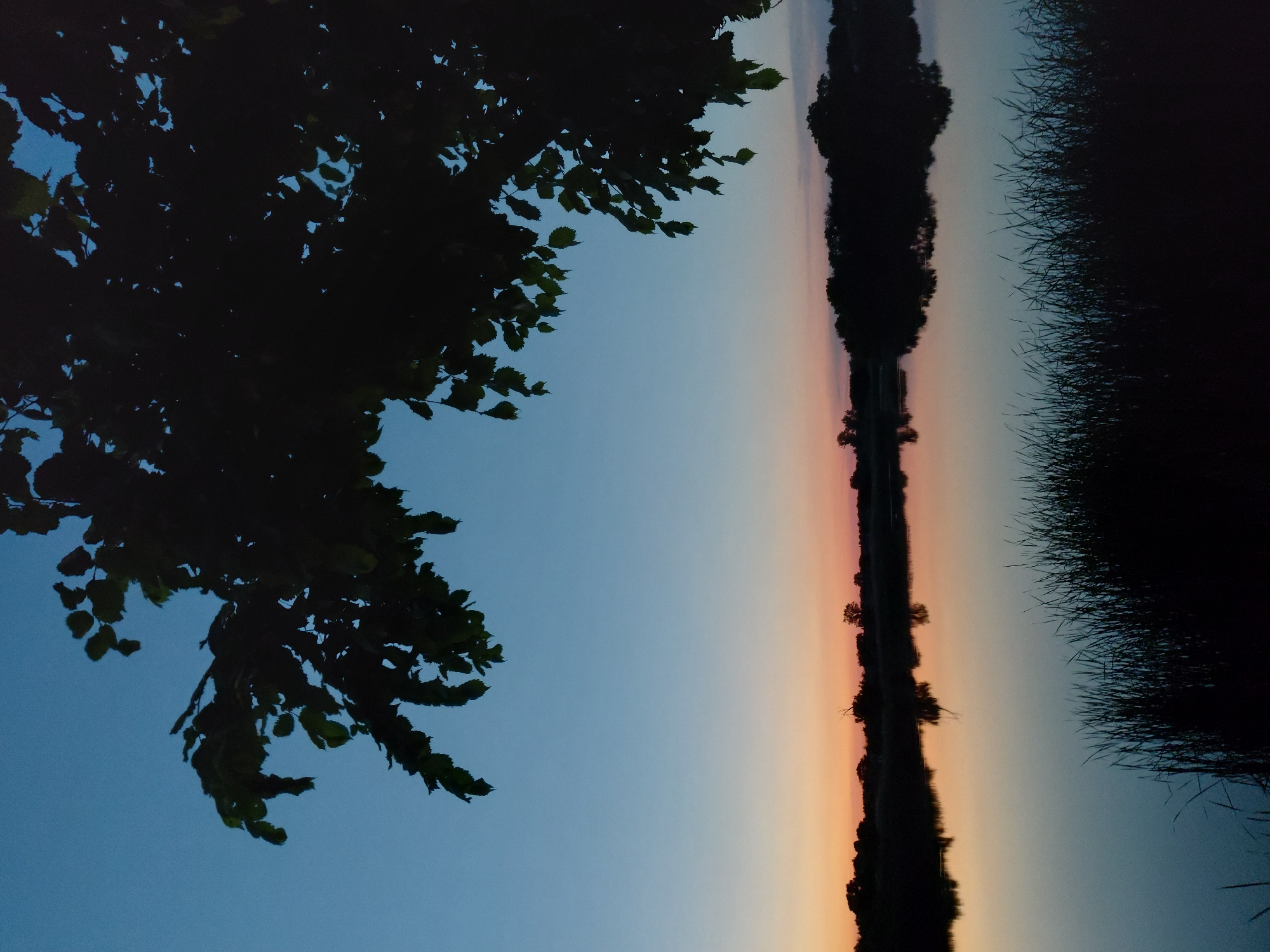Twilight gathering documented along Ustyvytsia waterfront during summer evening