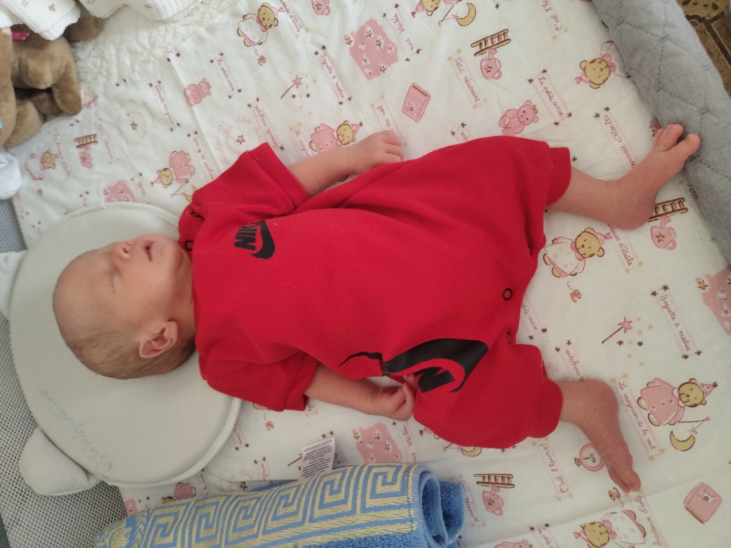 Newborns resting peacefully in Bubuieci, Moldova