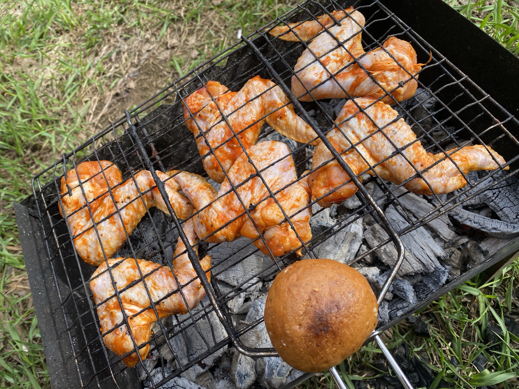 Outdoor grilling session features marinated chicken wings in Zhigalki