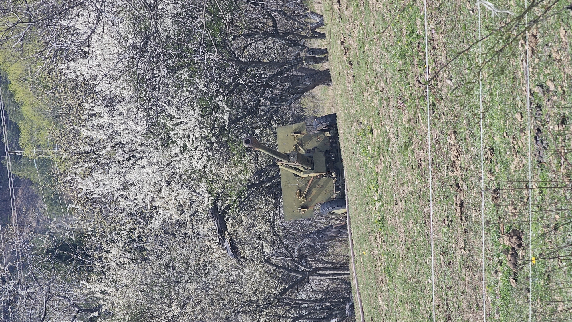 Historical military display and bird sculpture documented in Klisura