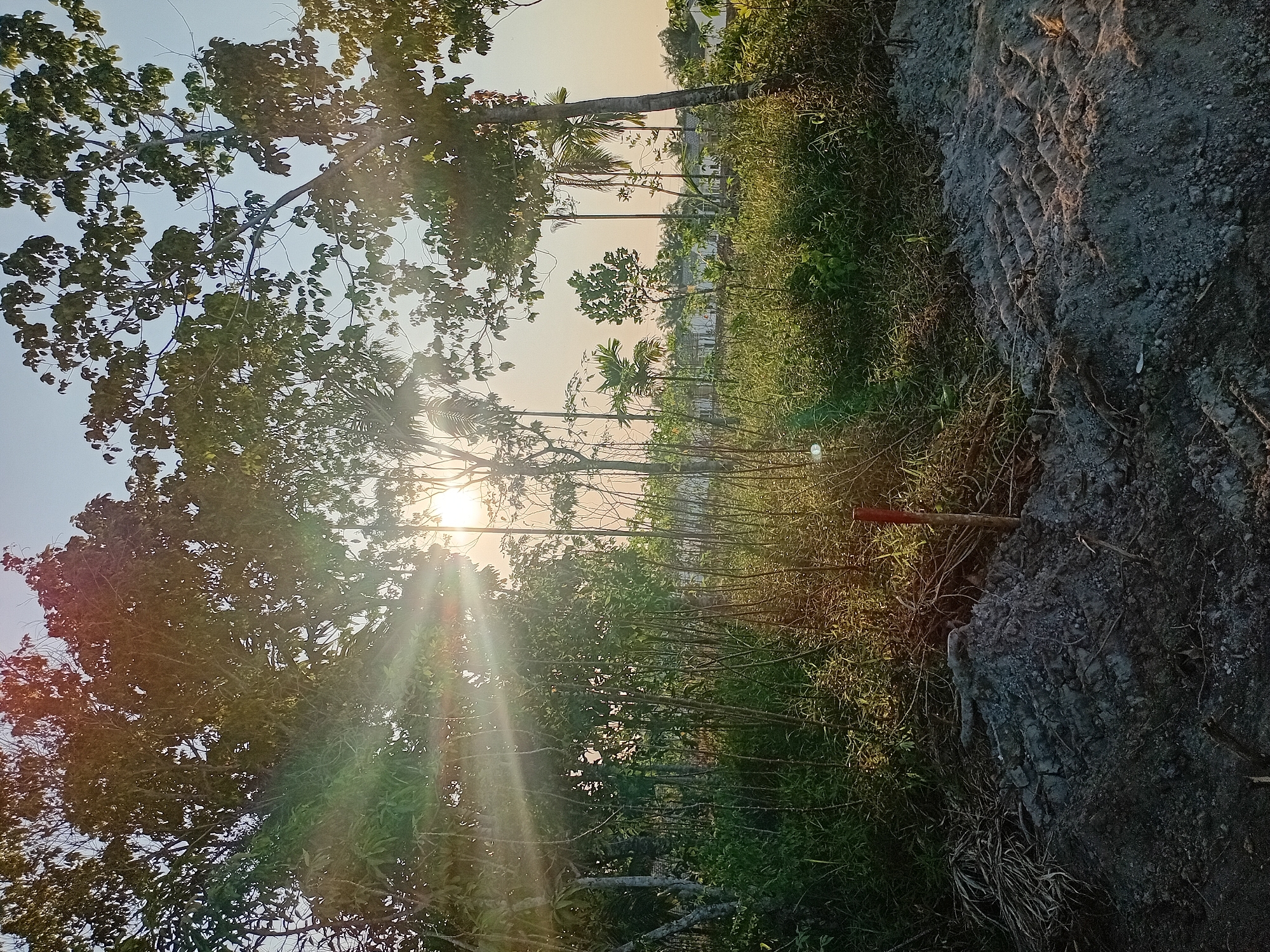 Morning stroll through Kasang Pudak's rural streets and gardens