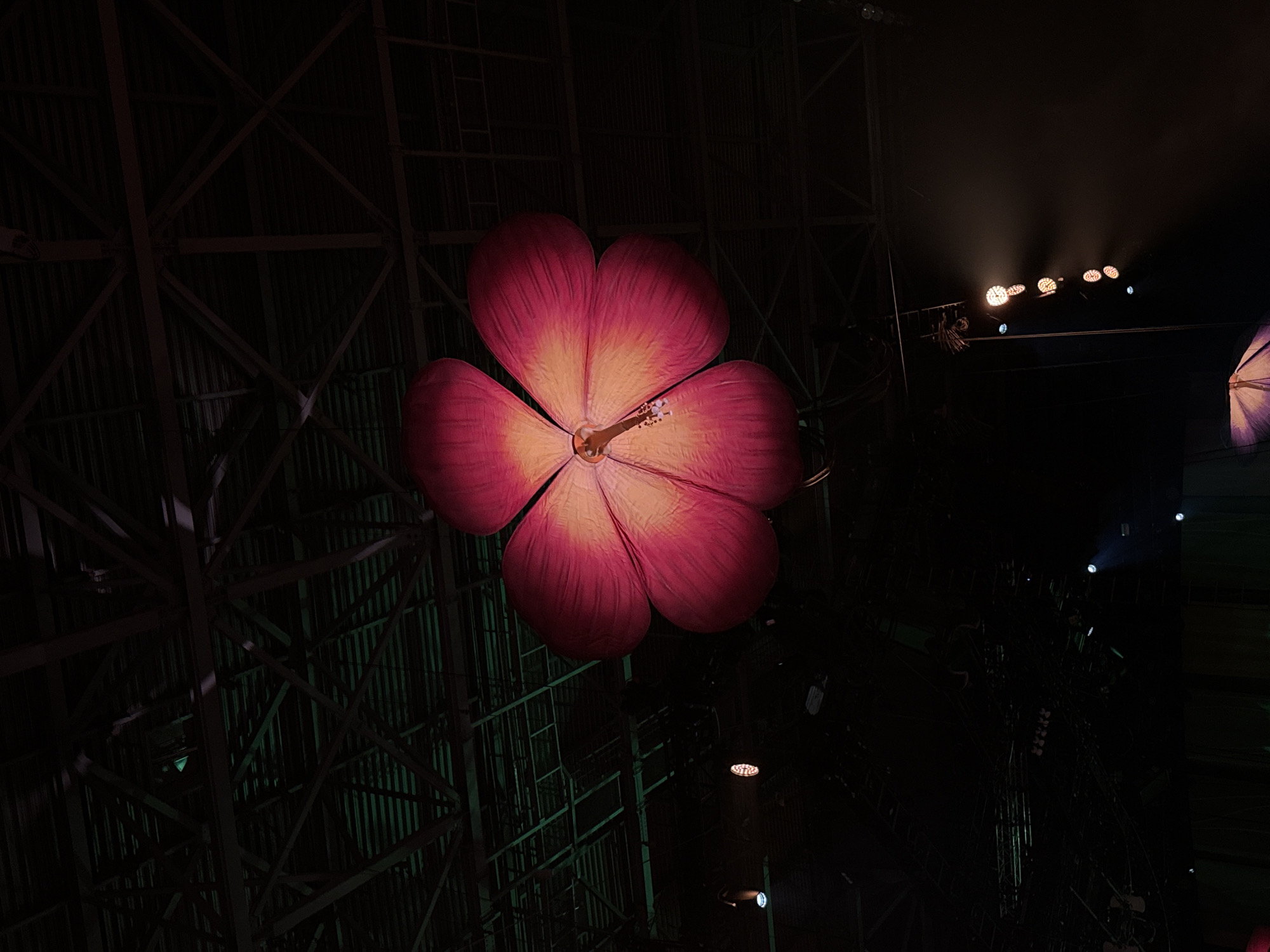 Theatrical performance with illuminated props draws crowds to Arena Sofia