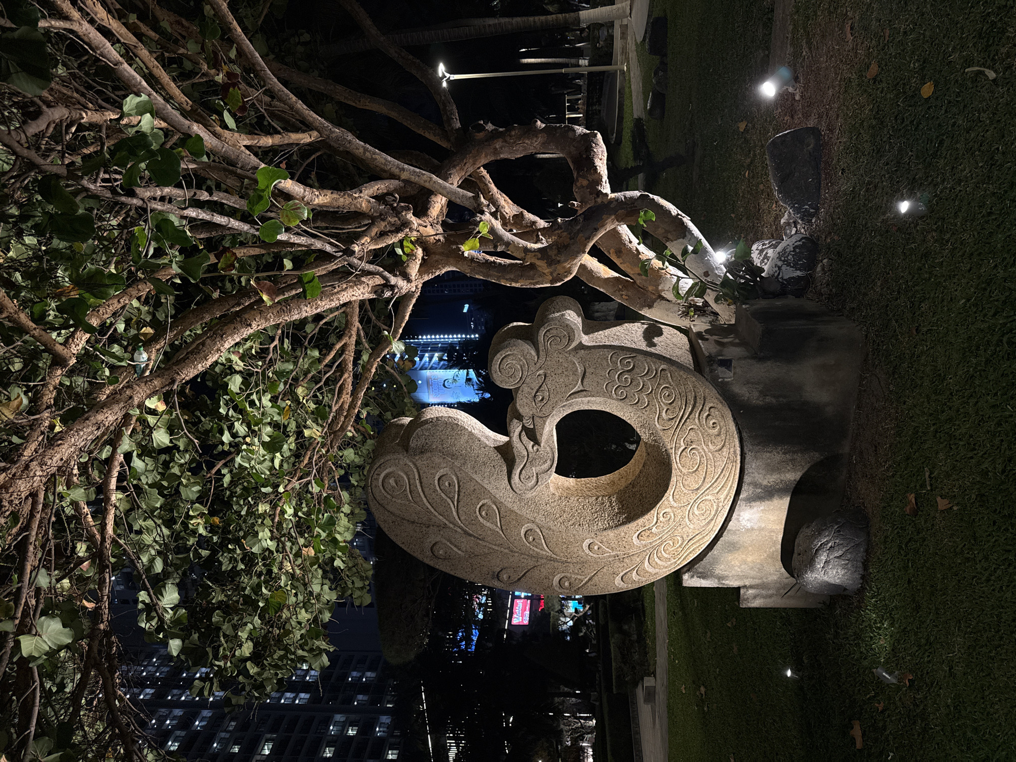 Nighttime scene with tropical tree documented in Nha Trang