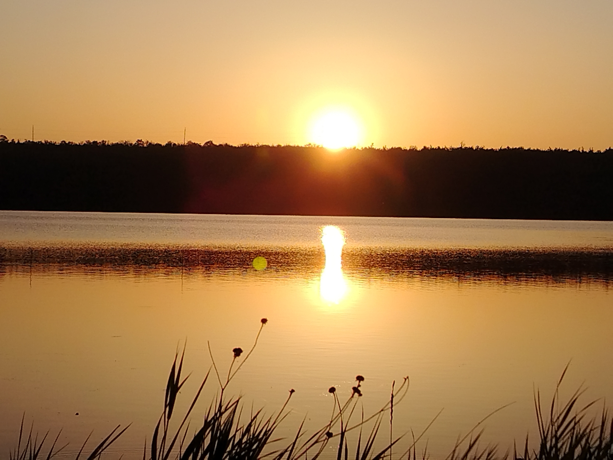 Golden hour over a still lake, shot from multiple angles