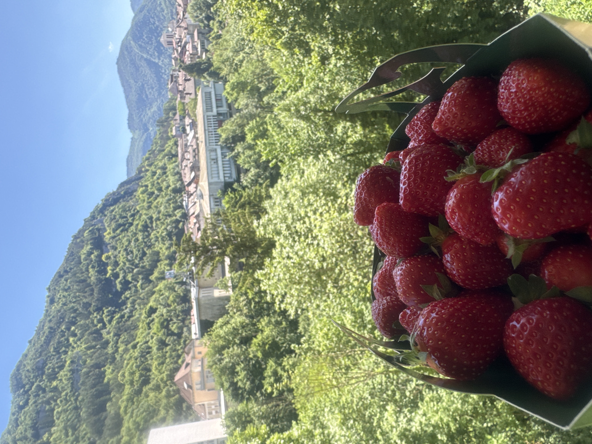 Strawberries, motorcycles, and a sunny morning in Saint-Claude