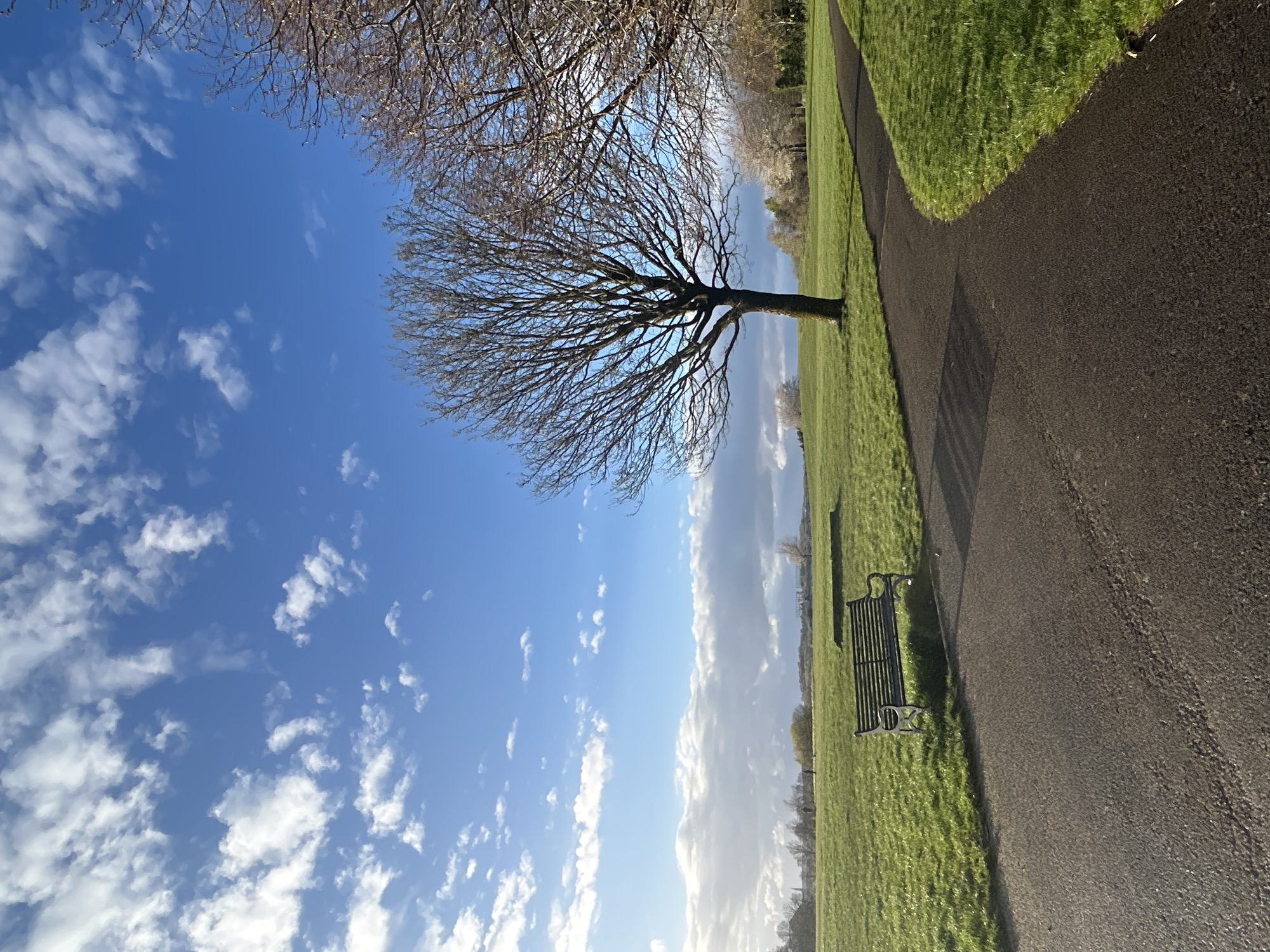 Quiet park scene documented in Glasgow