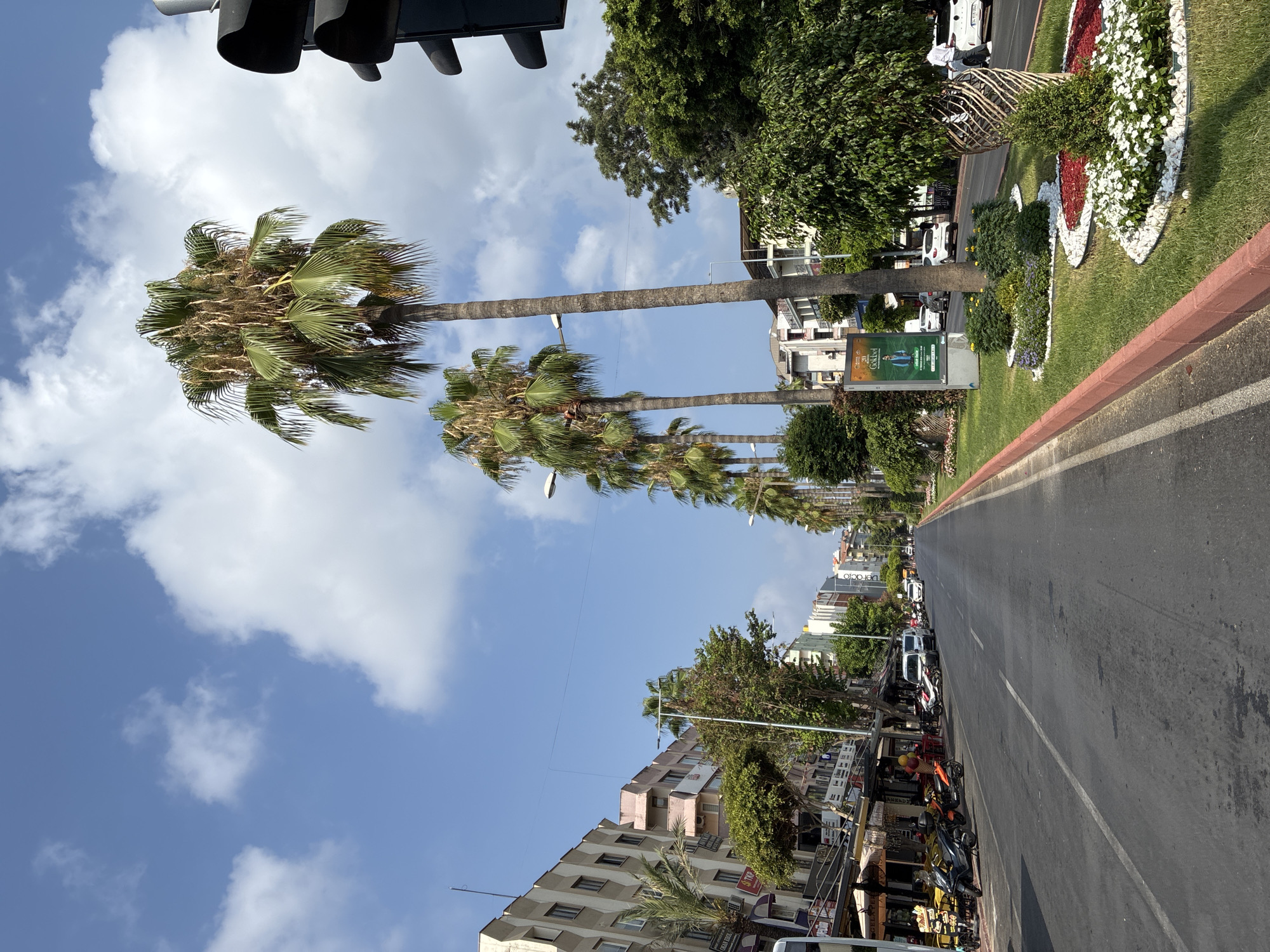 Sunny street corner in Alanya, palms and a pink ice cream shop