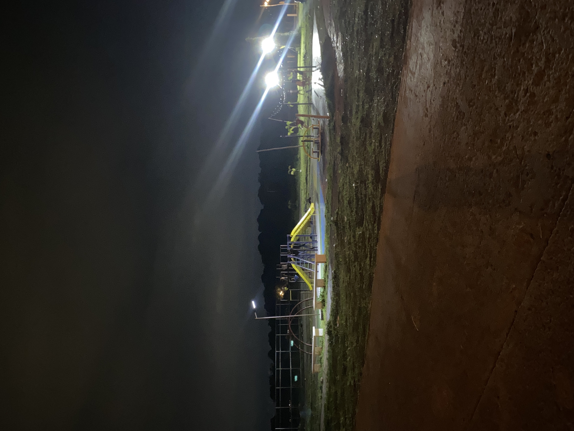 Nighttime street food and playground scenes documented in Davao City