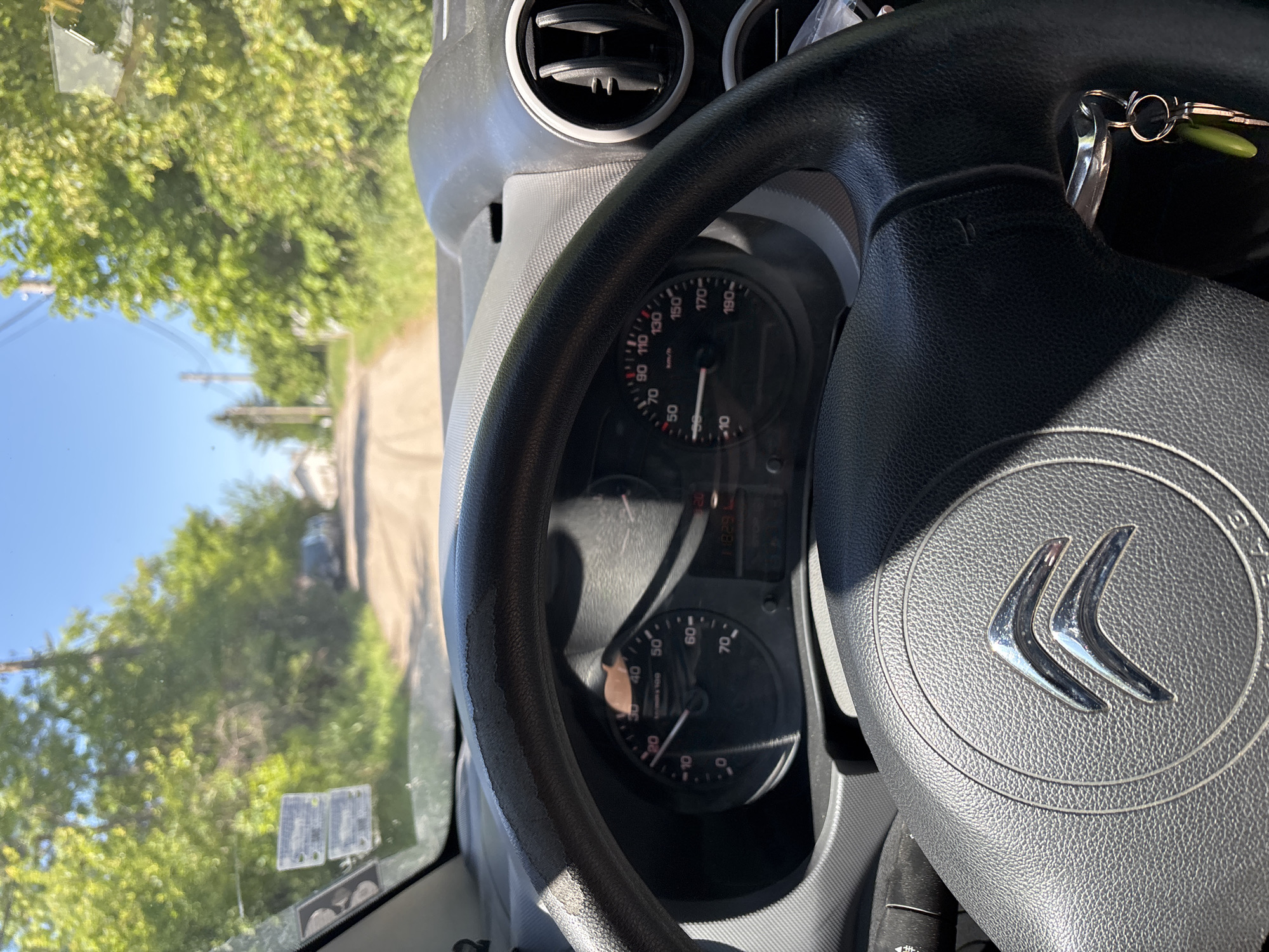 Morning moments in Pojarevo: car interior, dog interaction, motivational message
