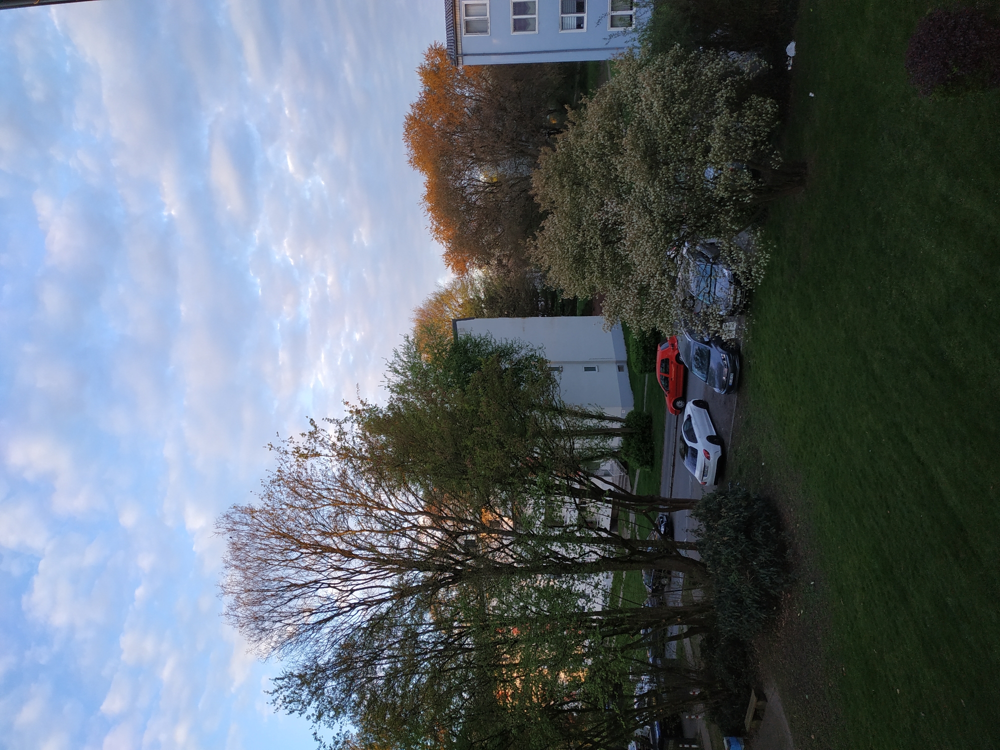 Morning scenes captured in Dortmund residential areas and park