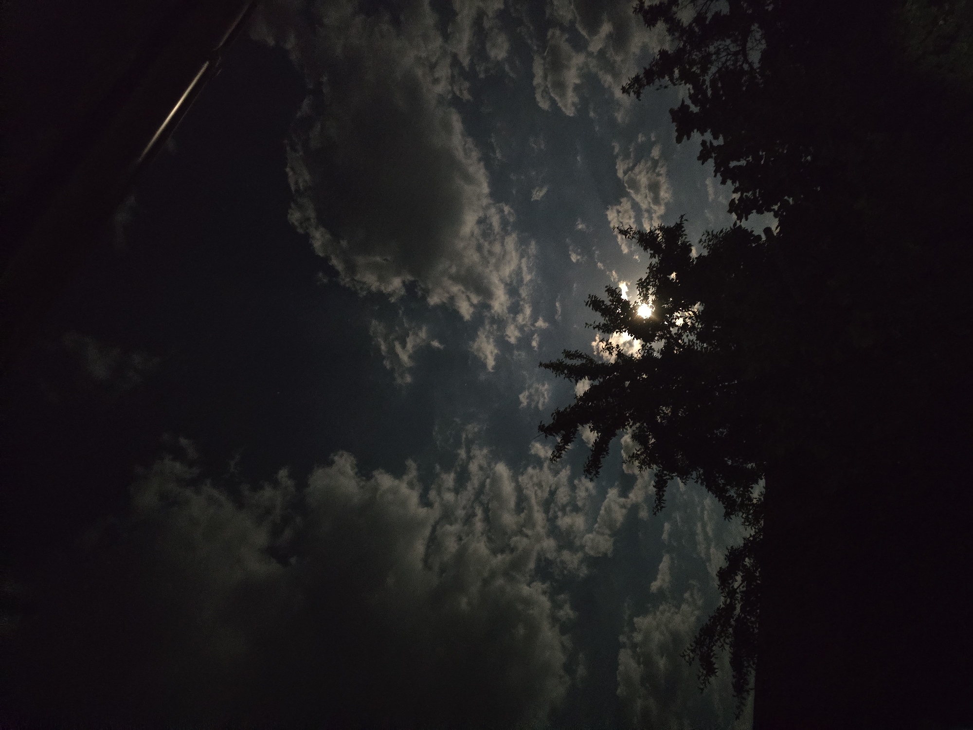 Duck family rests at night under a cloudy Moldovan sky