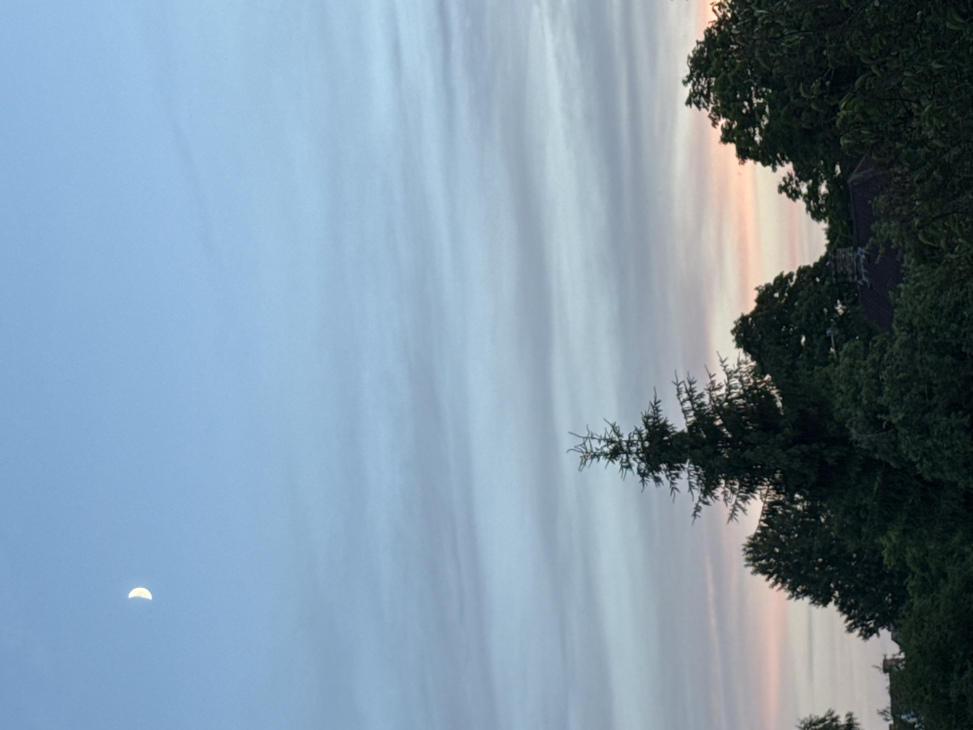 Pets and a crescent moon on a summer evening in Carnikava