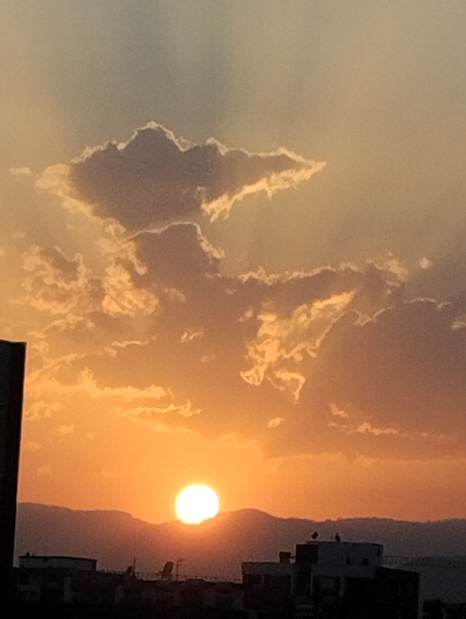 Sunset and pomegranate tree in Mezitli, Turkey