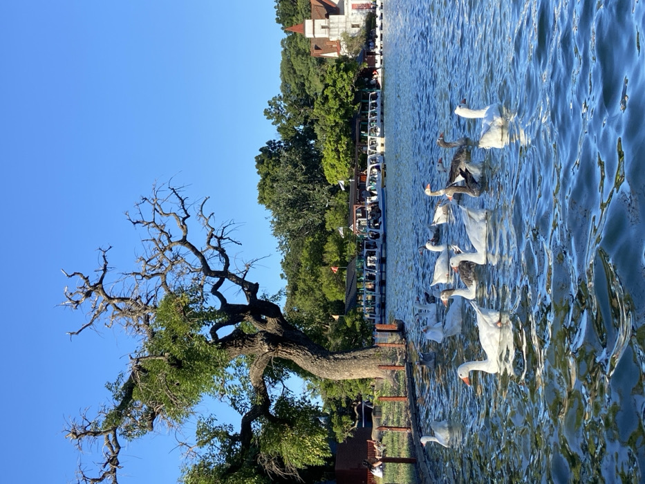 Evening recreation at Buenos Aires waterfront park draws families, fitness groups