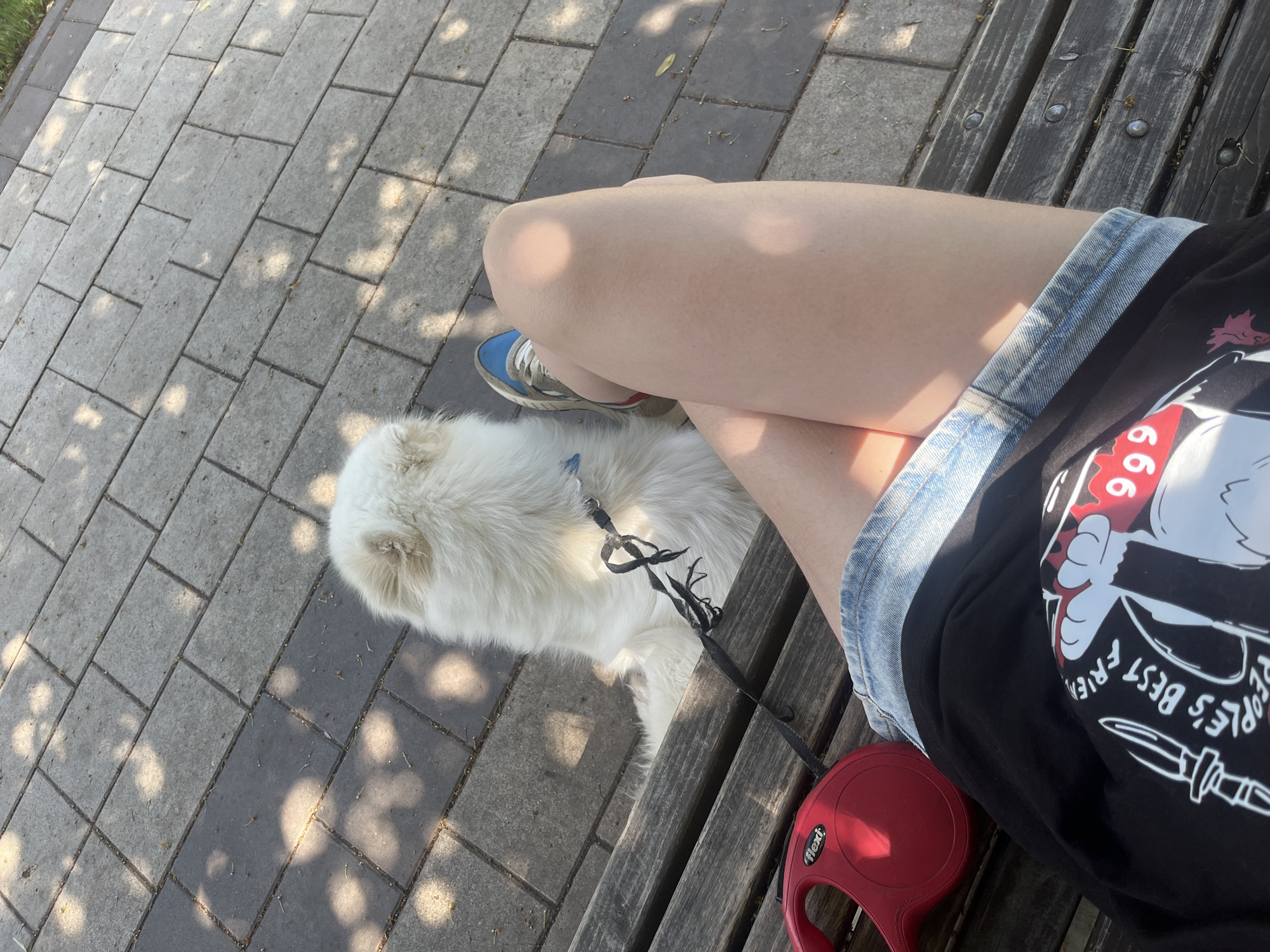 Lazy morning outside with a dog and some greenery
