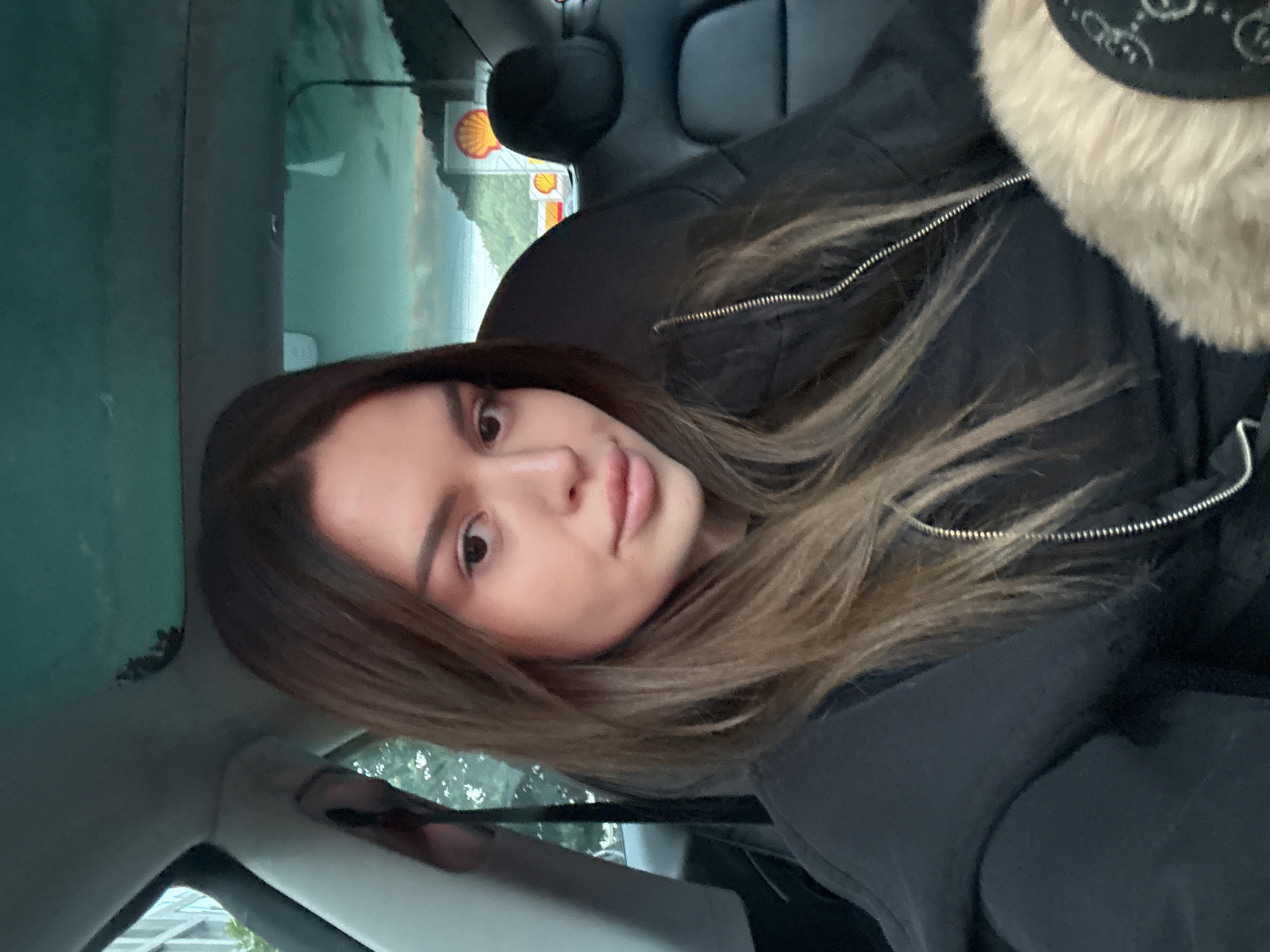Car selfies and a small dog in Prague