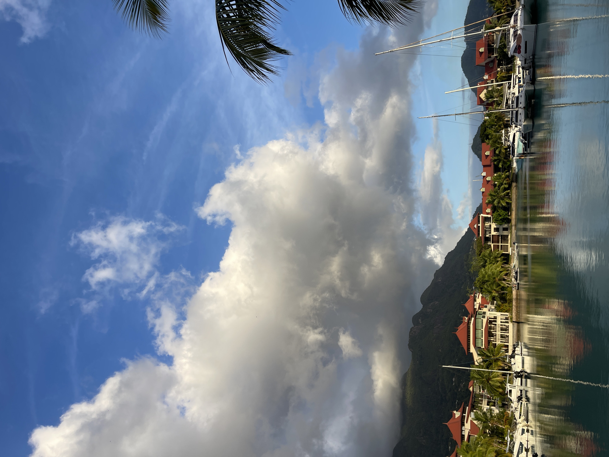 Sailboats docked at a sunny marina in Providence, Seychelles