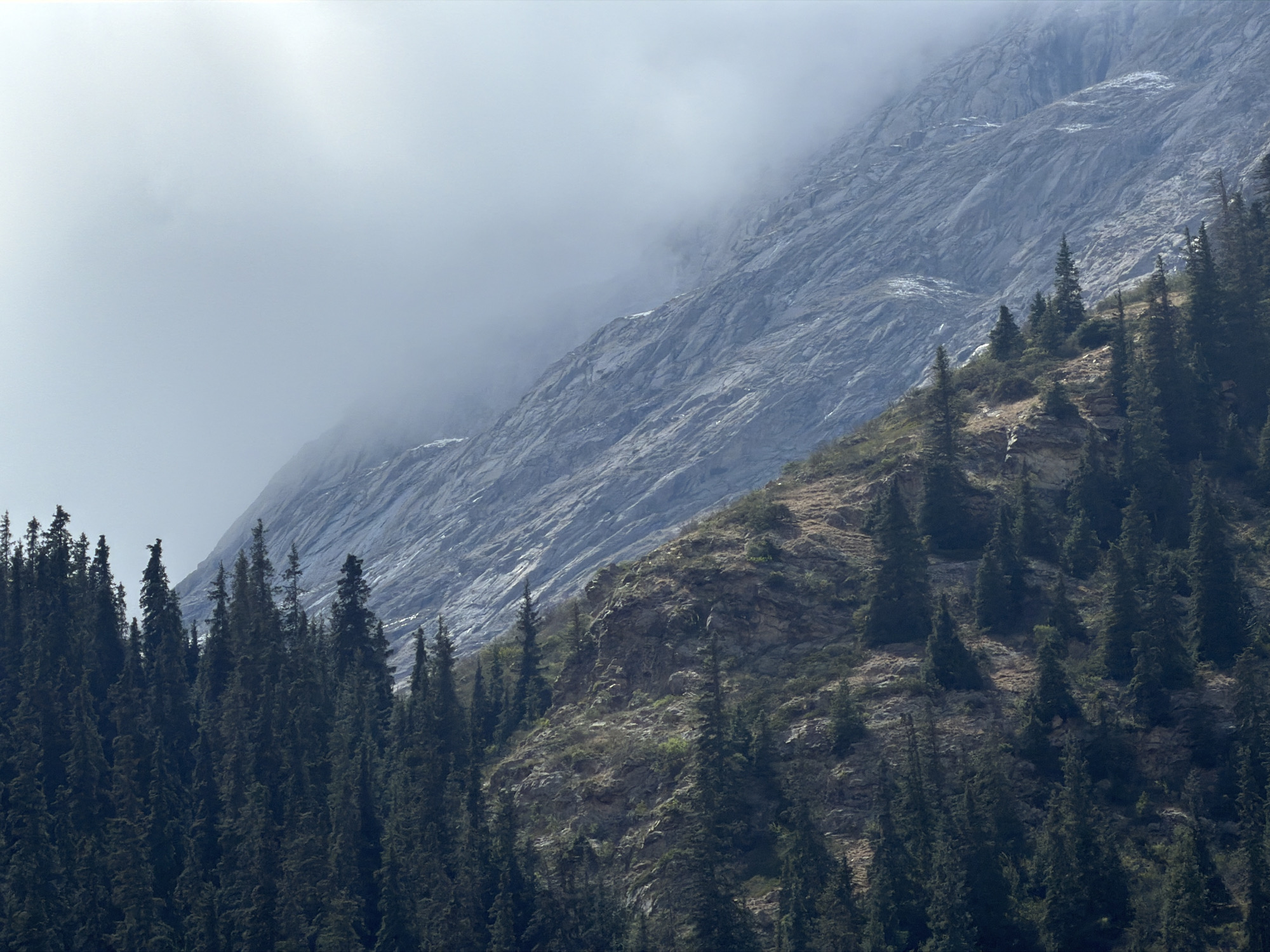 Mountain landscape with forests and clouds observed in Kyrgyzstan