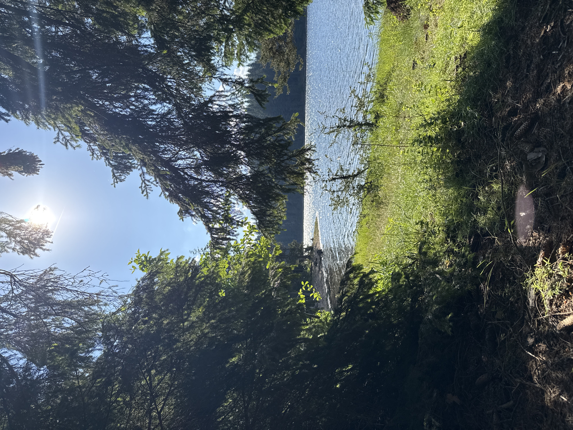 Sarnitsa Reservoir on a clear summer afternoon, framed by pines