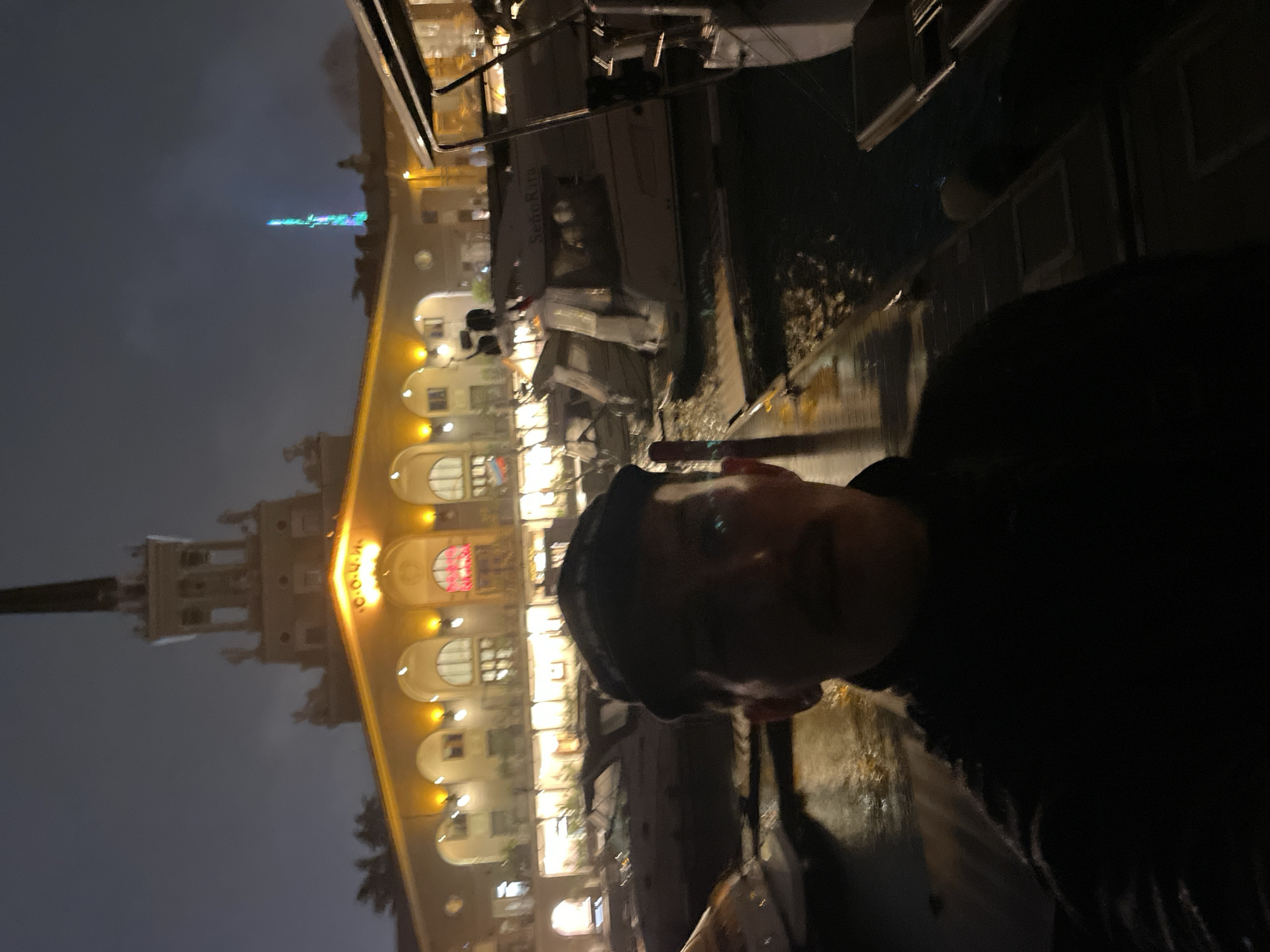 Evening visit to illuminated Sochi Marine Terminal includes dinner