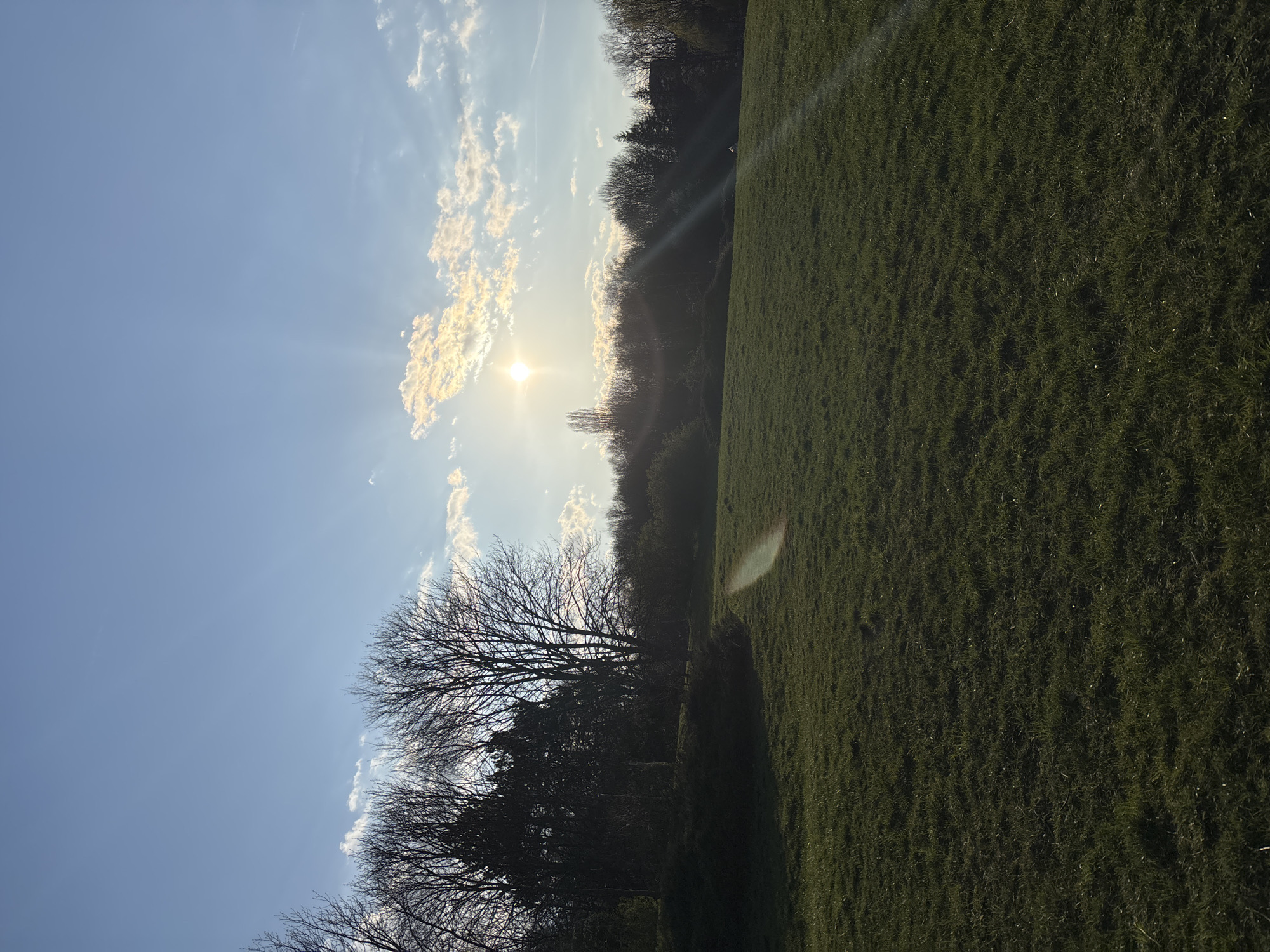 Afternoon scenes documented across Sofia parks and streets