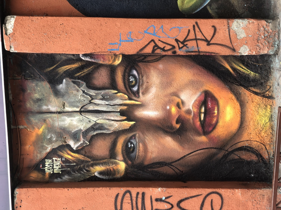 Street art documentation walk through La Paz art district
