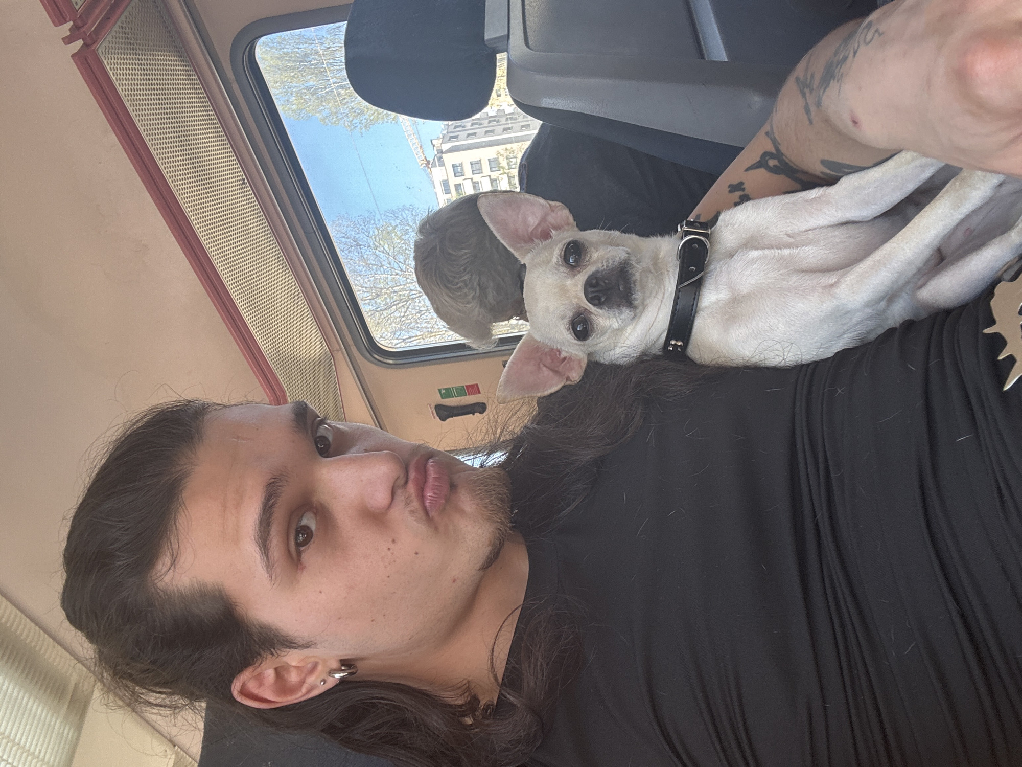 Person poses with Chihuahua in Sofia, Bulgaria