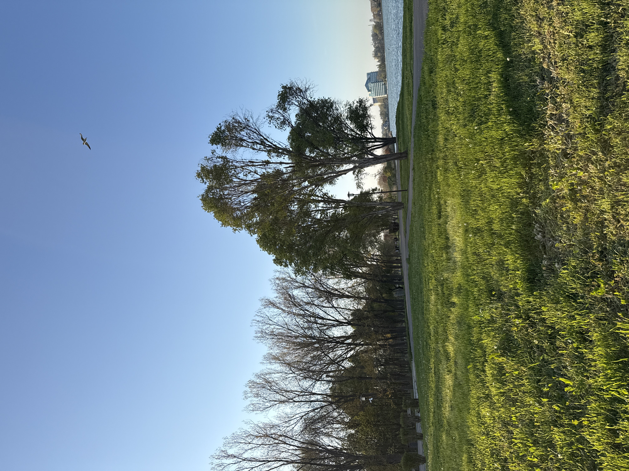 Afternoon park scenes documented along Constanța waterfront