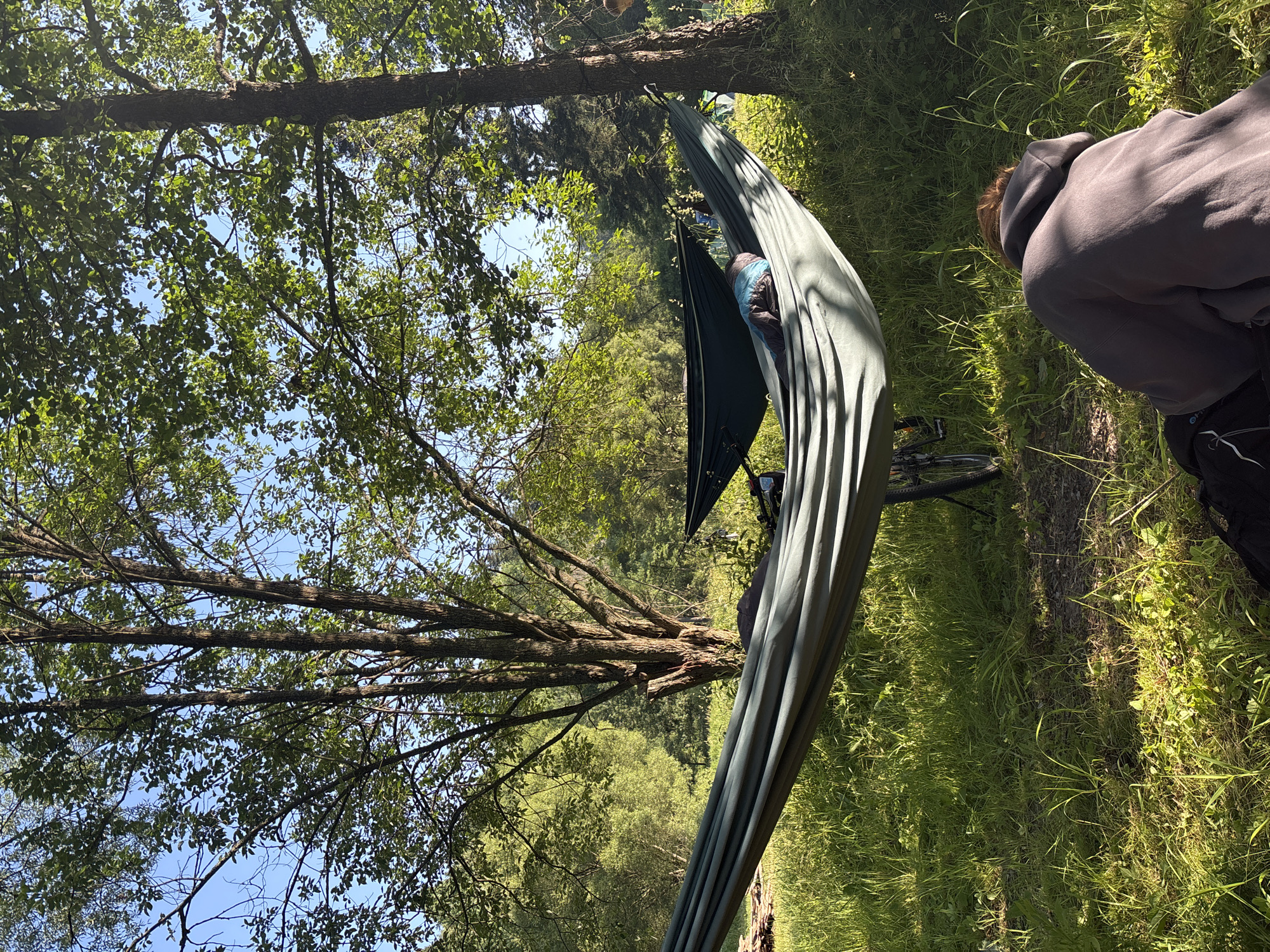 Morning hangout spot with hammocks in a Dvorce woodland clearing