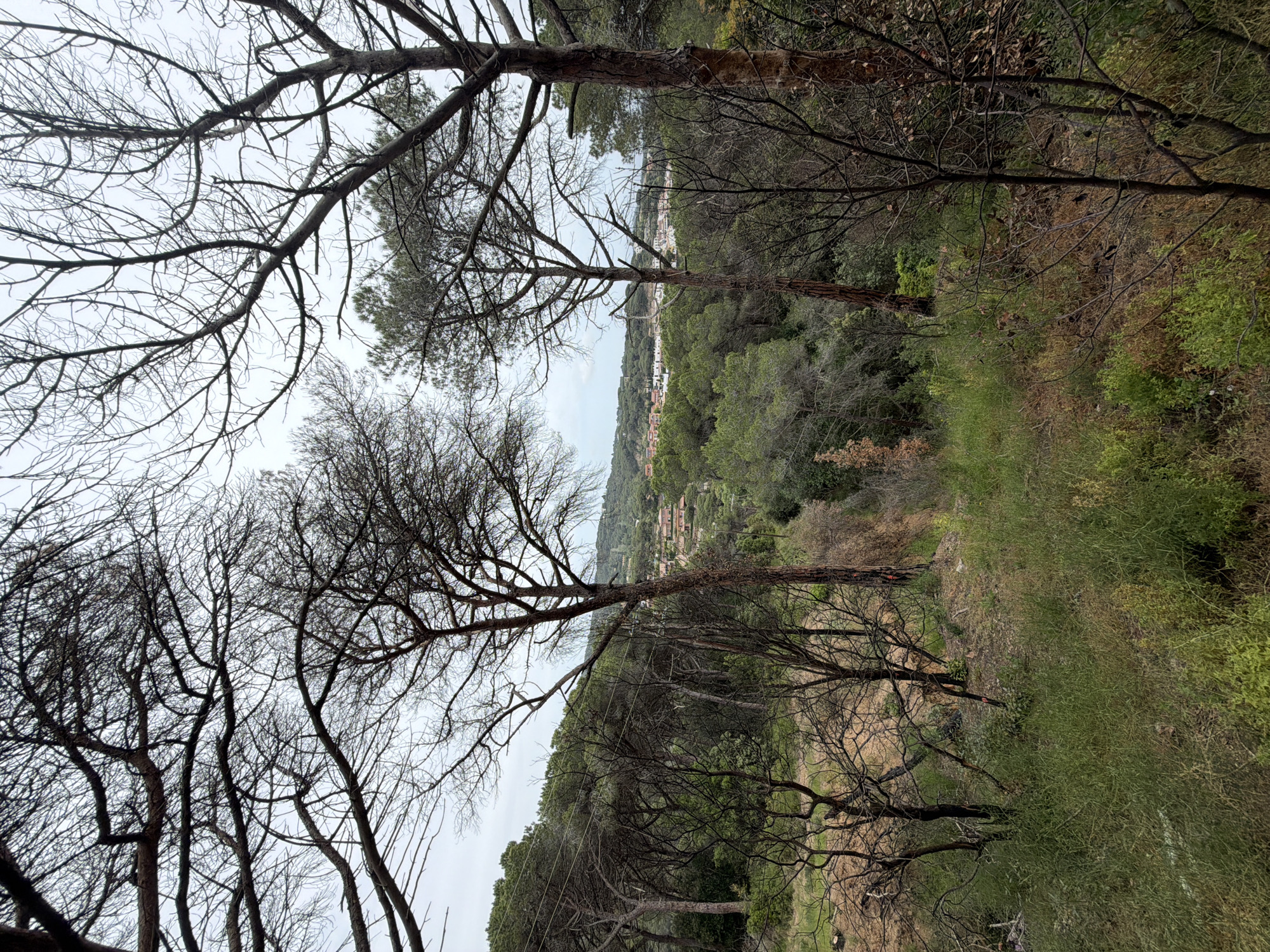 Group enjoys morning hike and social gathering in Spanish town