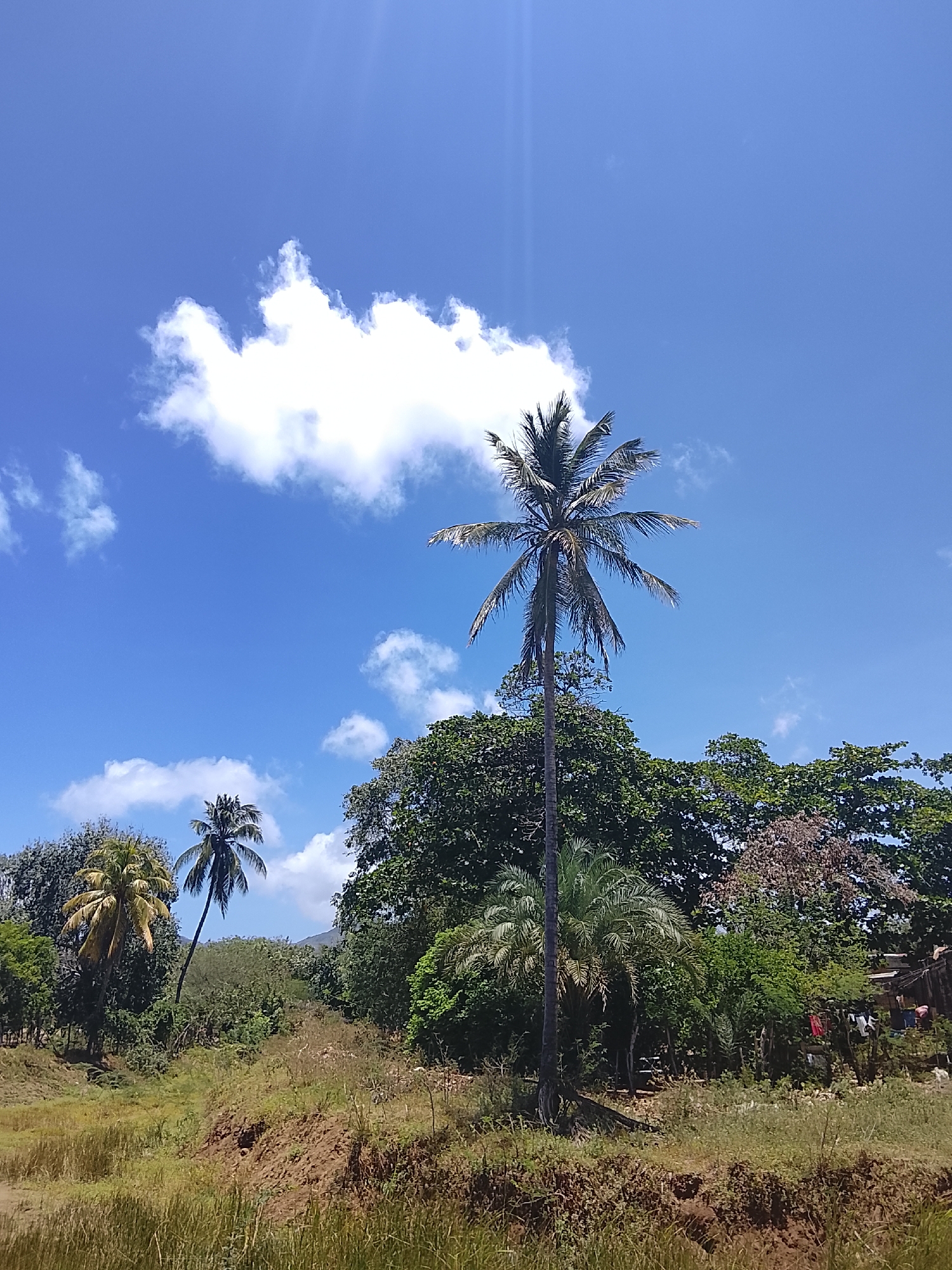 Afternoon life documented in Venezuelan town of Altagracia