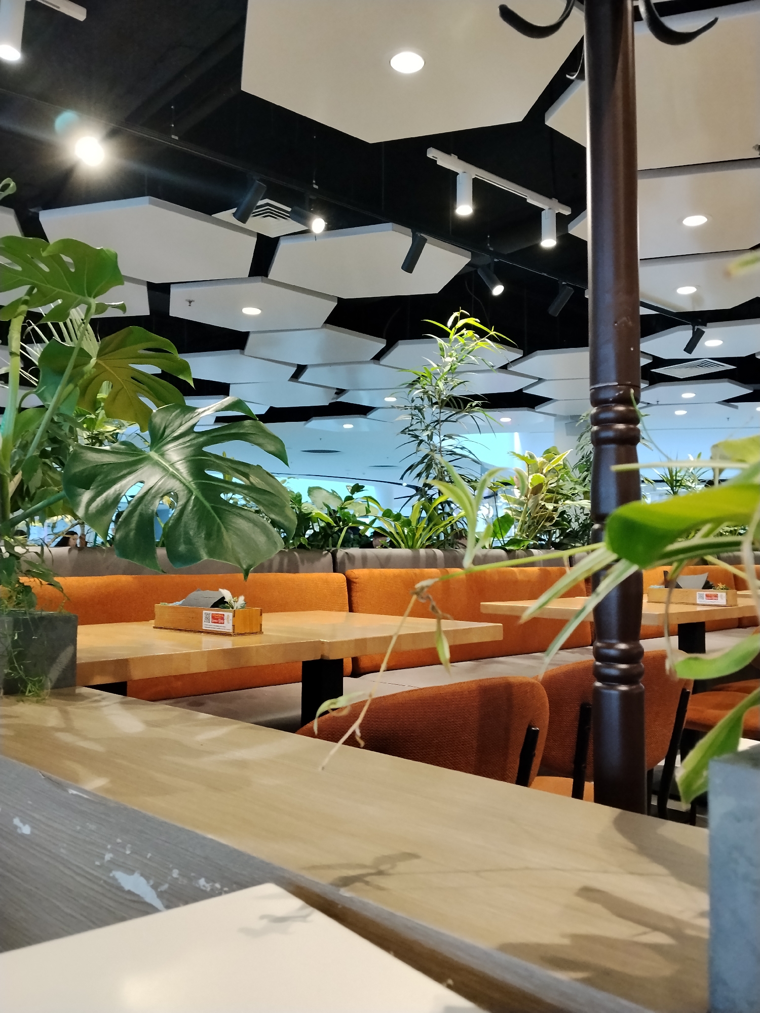 Moscow street crossing and restaurant interior documented midday