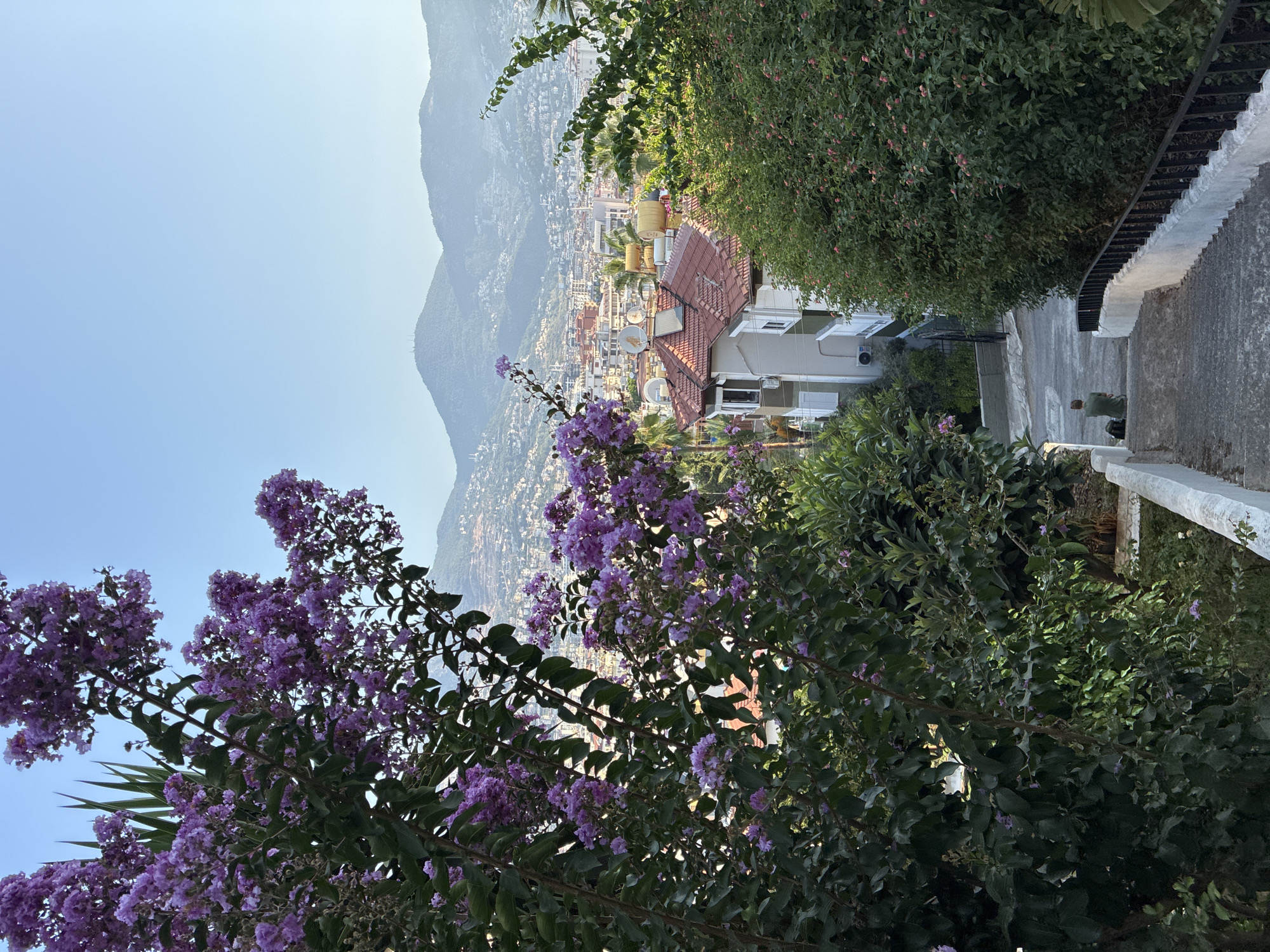 Streets, rooftops, and flowers across a sunny Alanya hillside