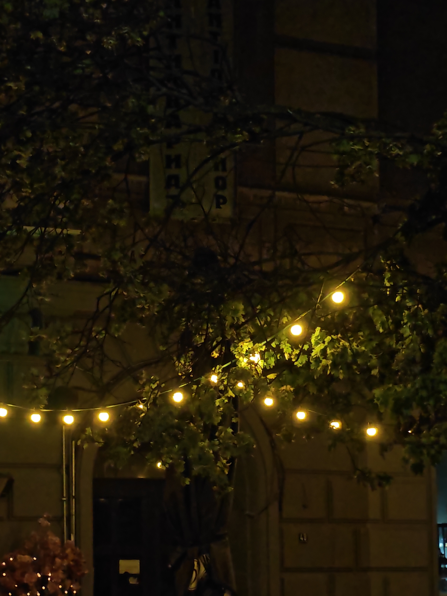 Evening out near an ornate building with drinks and street art