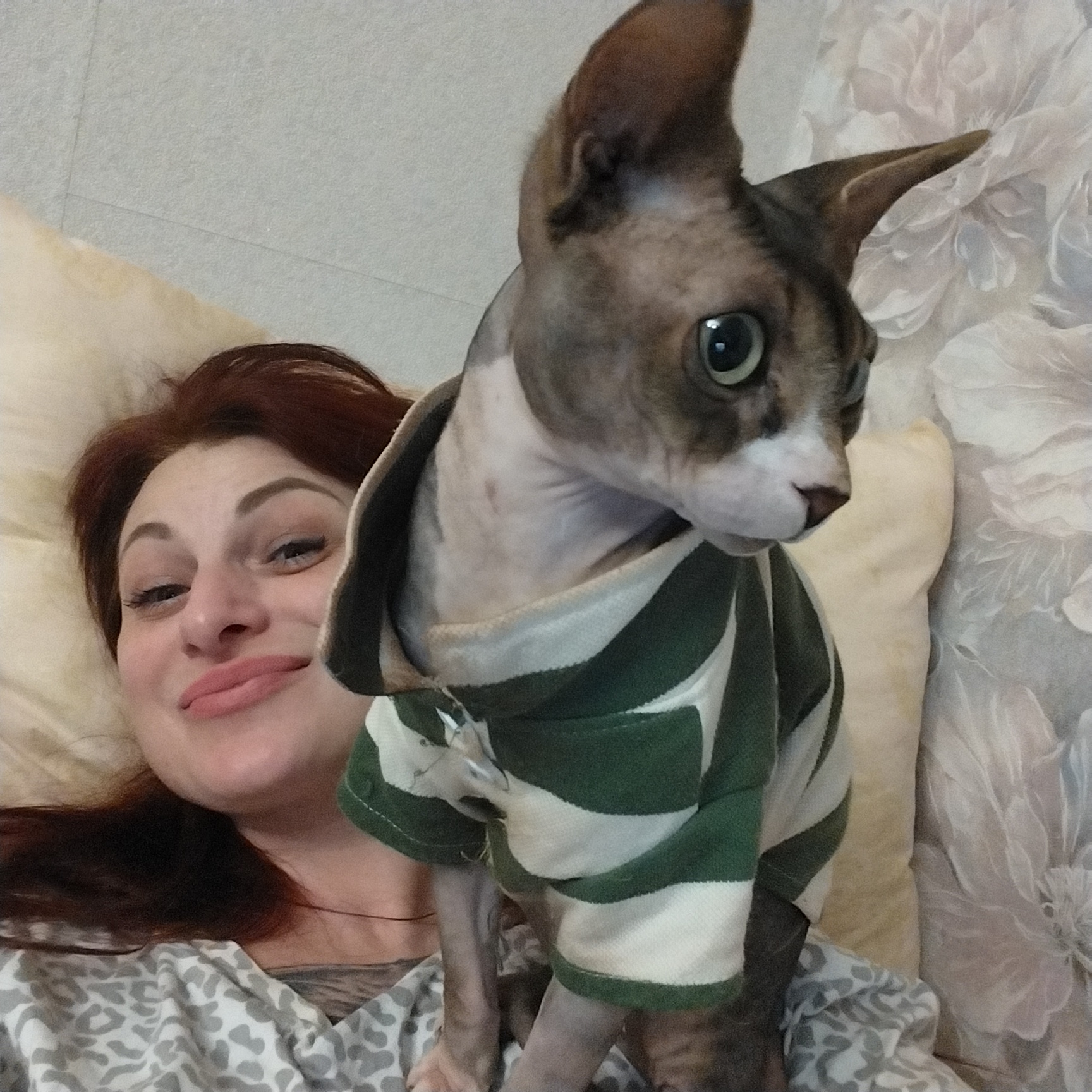 Cozy night in with sphynx cats and cold beers