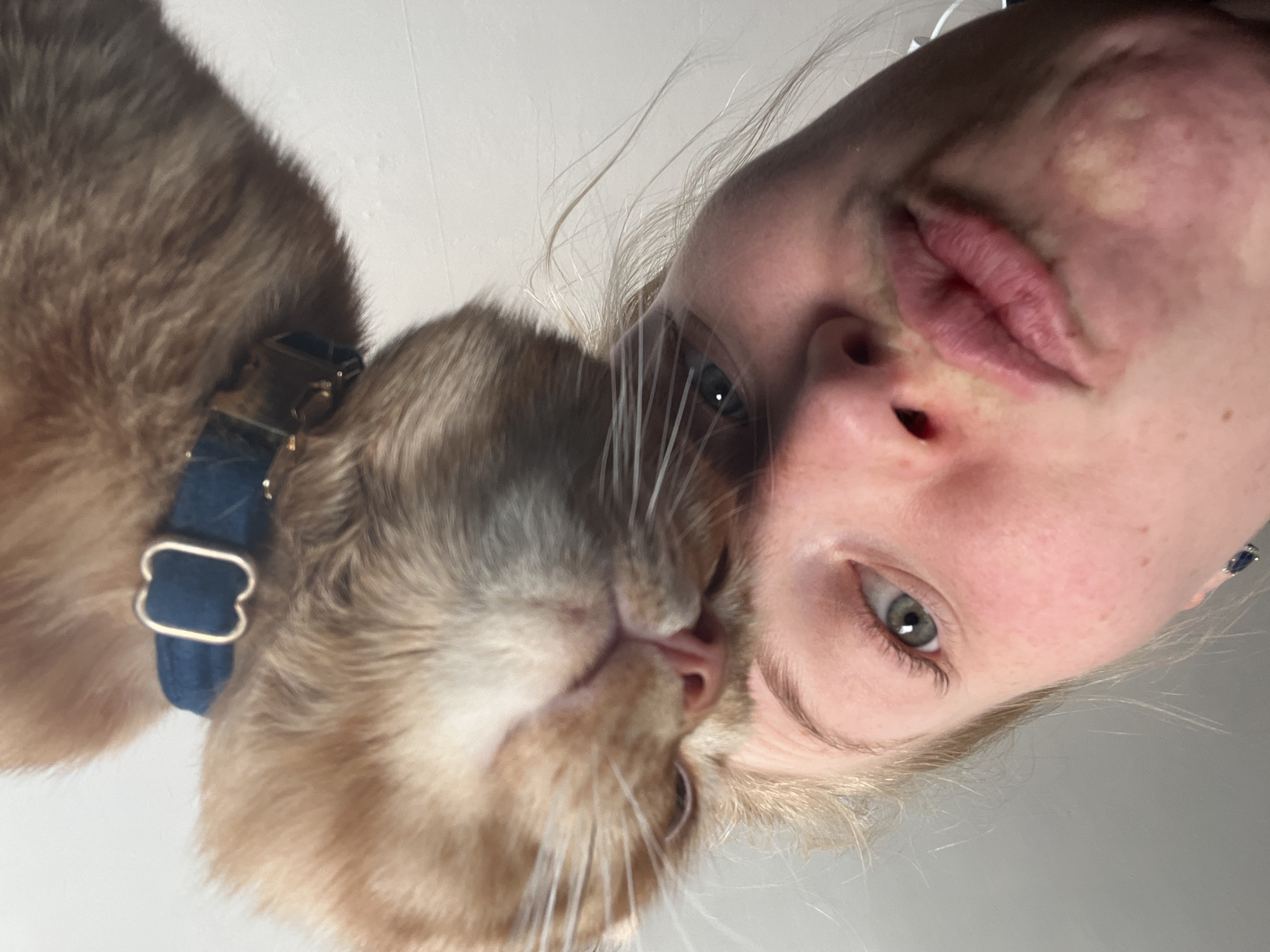 Woman shares quiet morning moments with cats in Moscow home