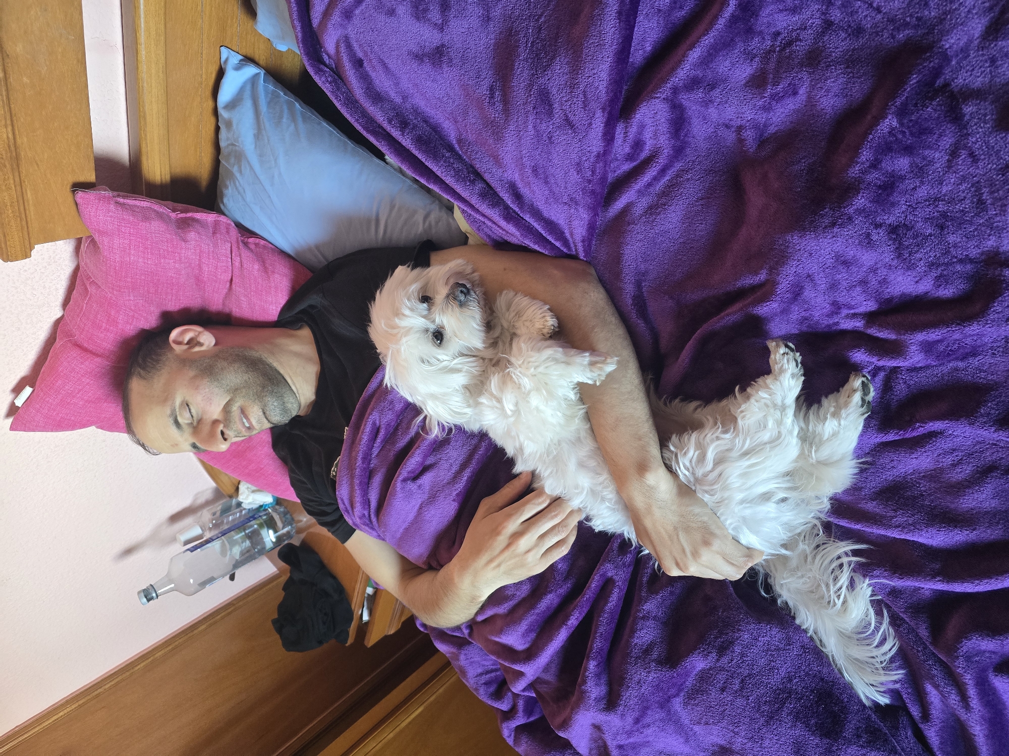 Man and white dog share quiet morning moment in bed