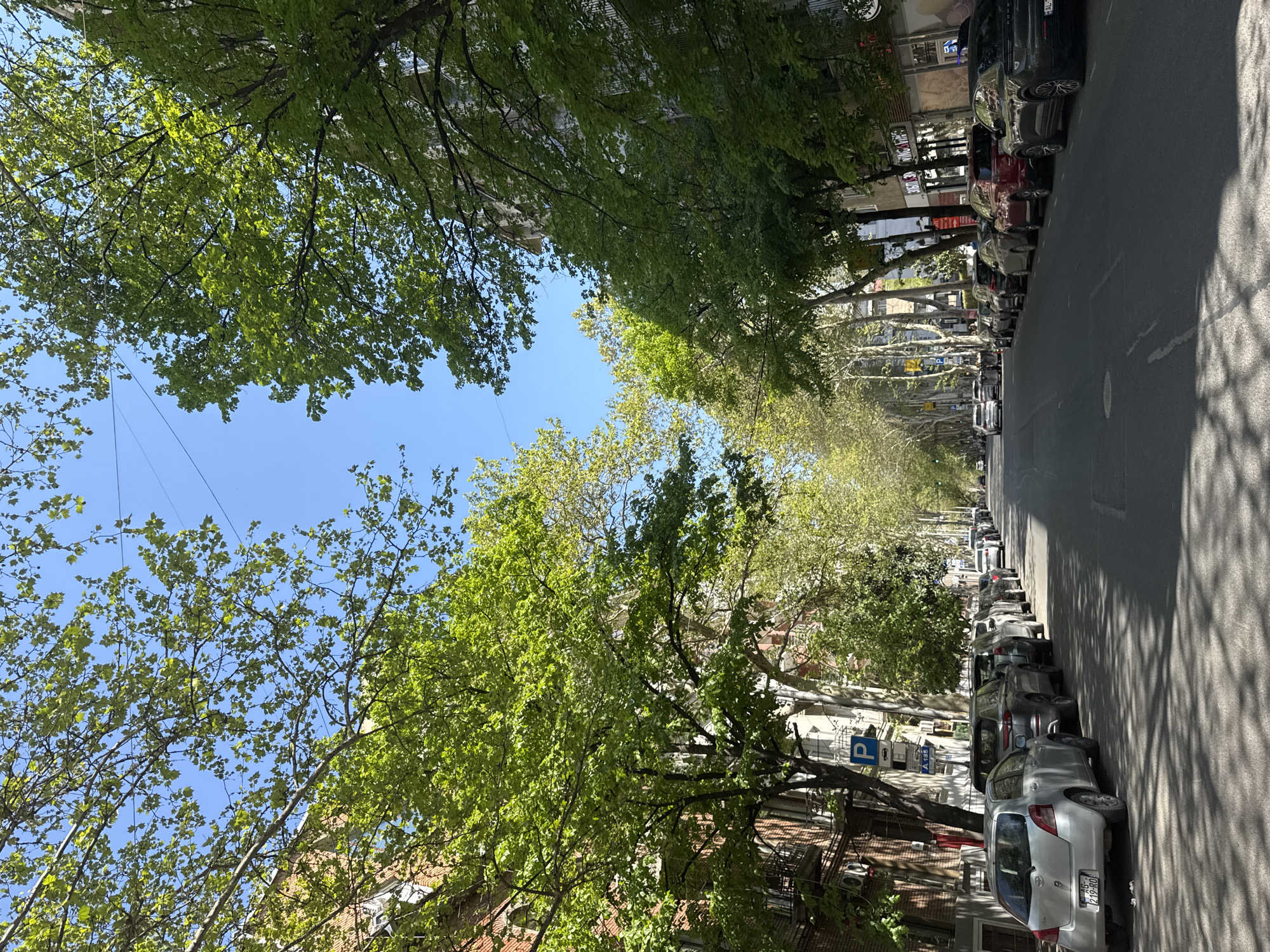 Spring morning scenes documented across Tbilisi, Georgia