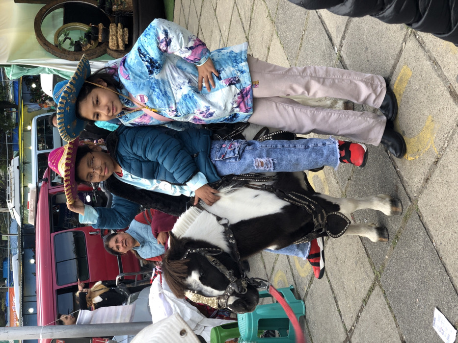 Evening flower market and street performances enliven La Paz