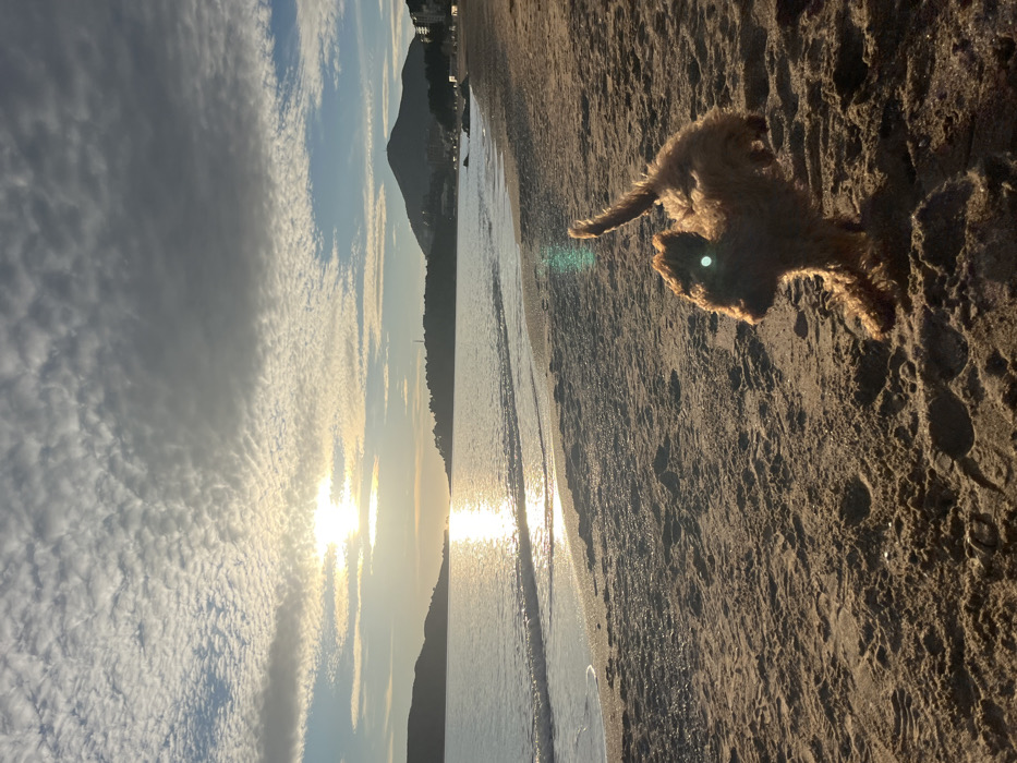 Afternoon beach stroll and pastry making documented in Montenegro