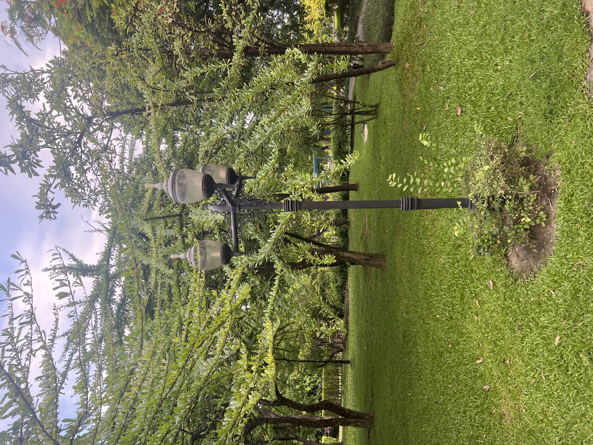 Urban park with a wildlife-filled pond and garden paths