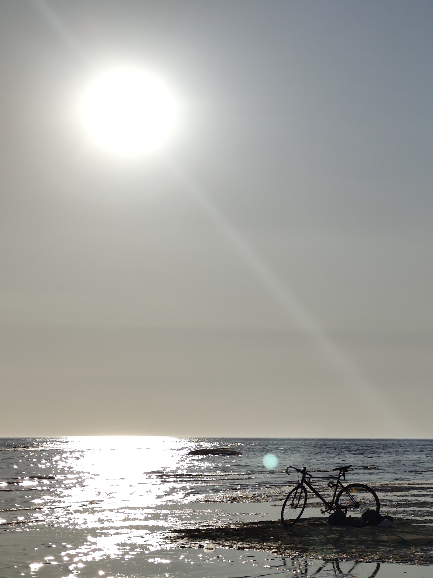 Caspian shoreline afternoon: bikes, a cat, and a crayfish