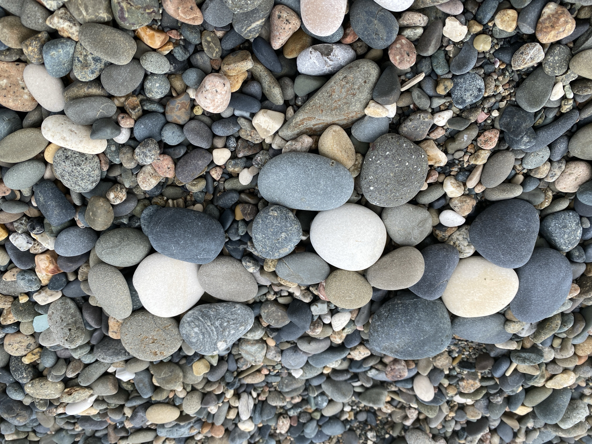 A laid-back beach day on Sokhumi's Black Sea pebble shore.