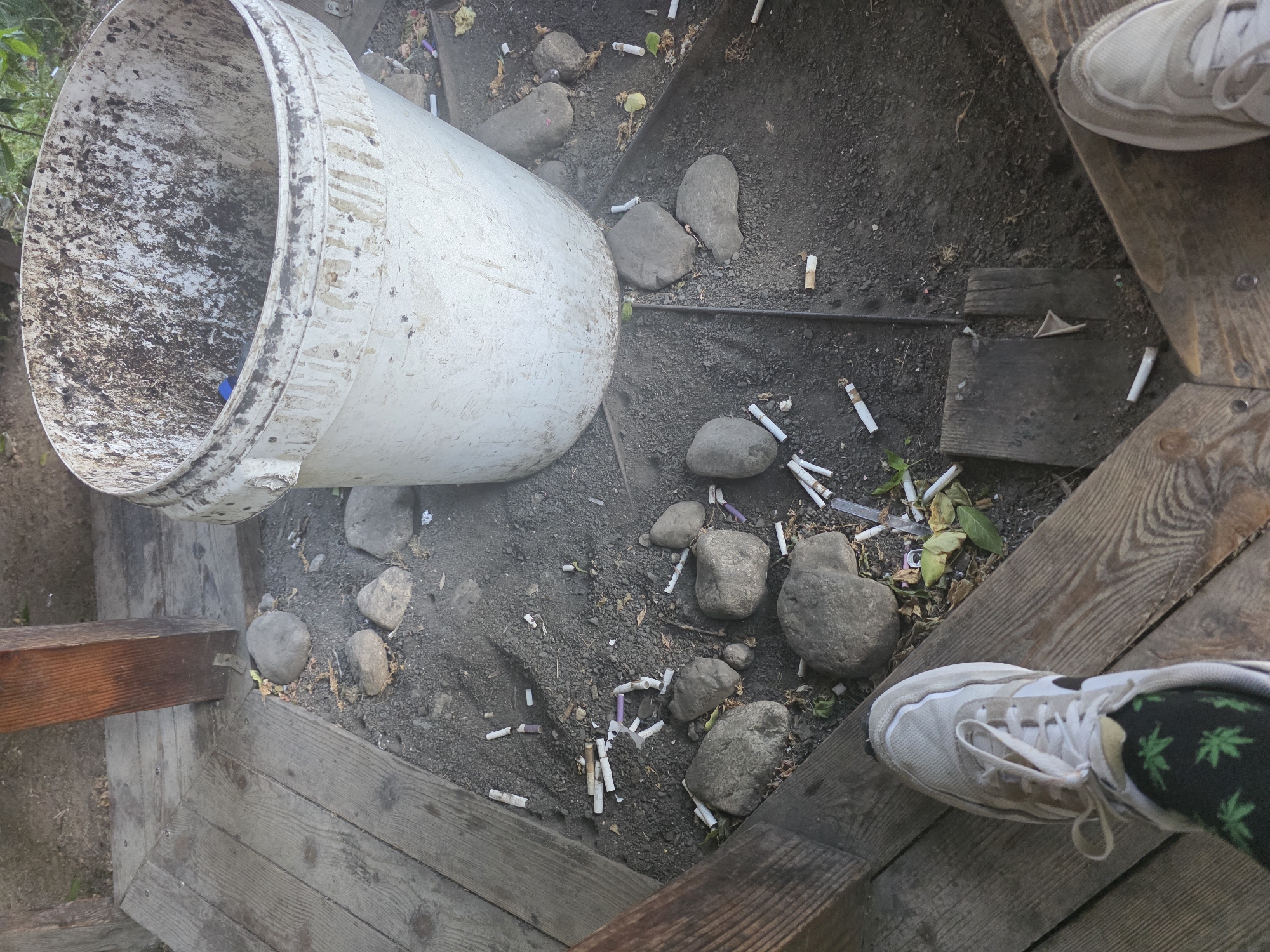 Container and beverage can spotted on wooden surfaces in Kazanlak