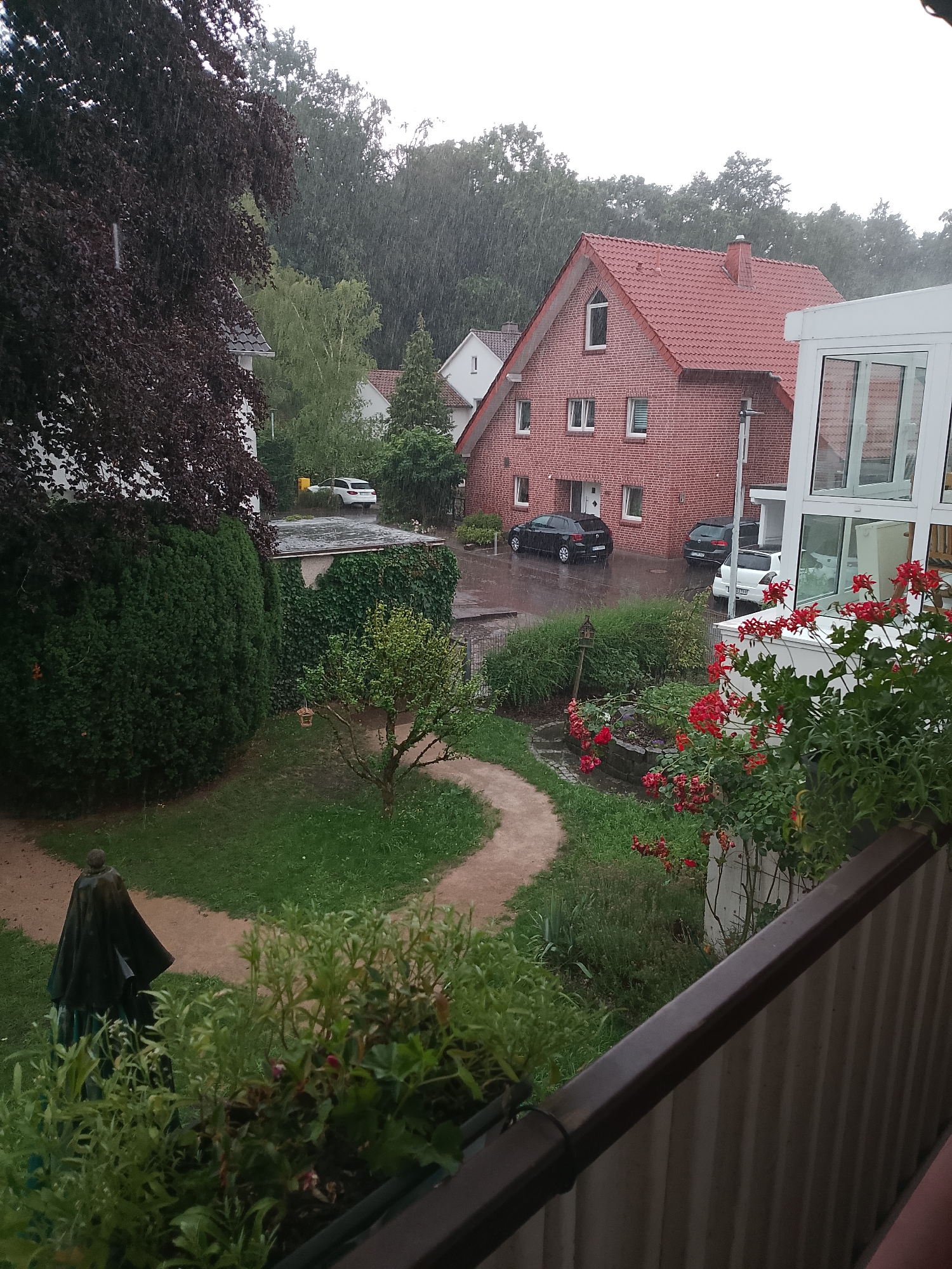 Rainy afternoon in a Rheda-Wiedenbrück garden, geraniums and gazebo