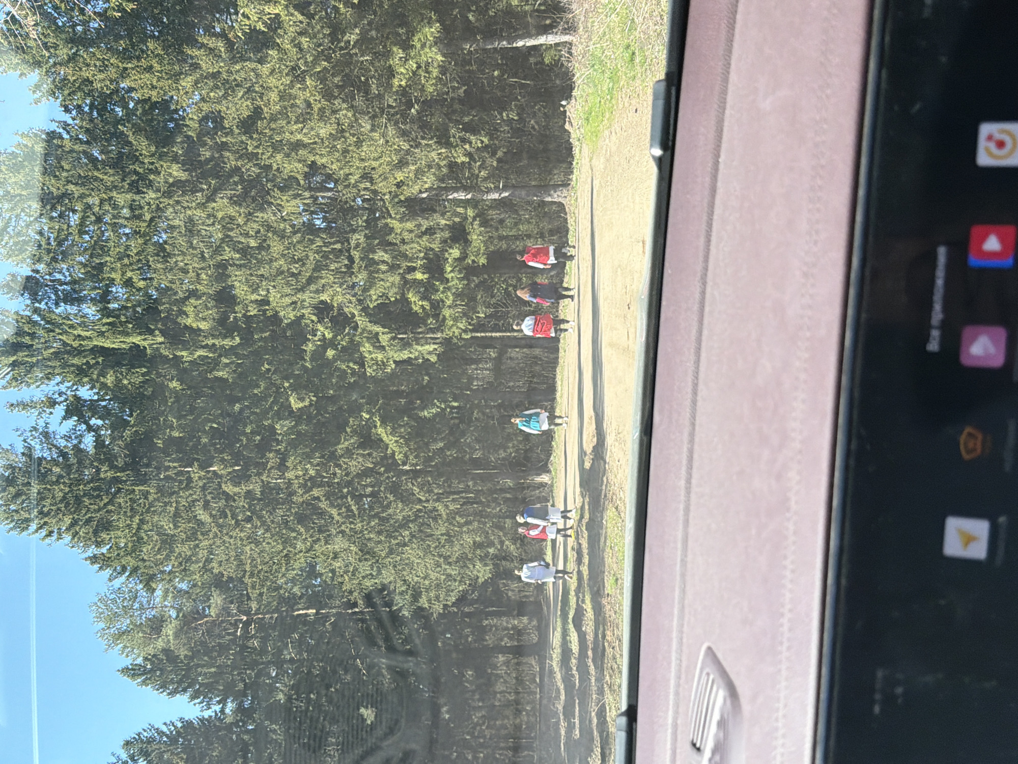 Group in matching red-accented clothing walks wooded path in Chaikovsky