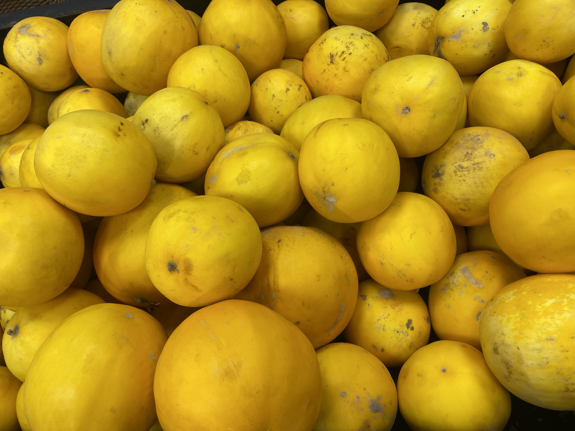 Fresh produce on display at an Almaty market